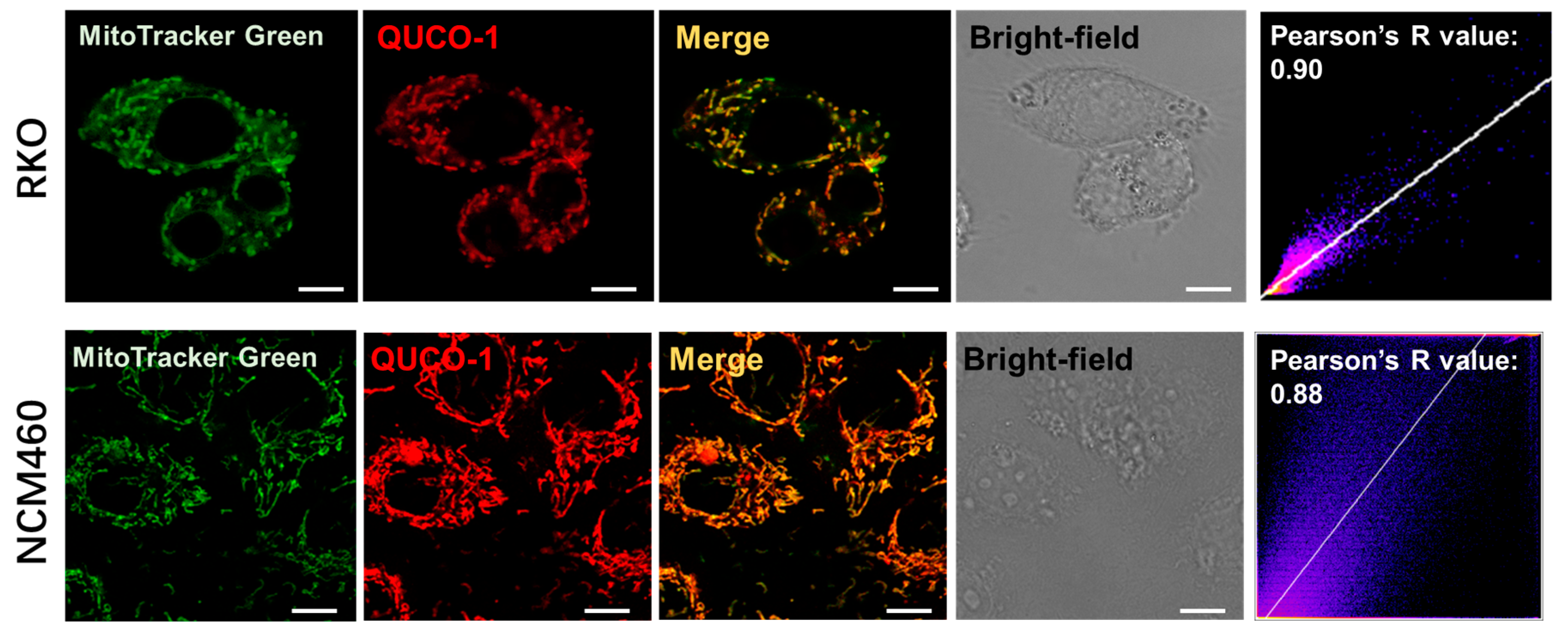 Molecules 28 02690 g001 Molecules 28 02690 g001