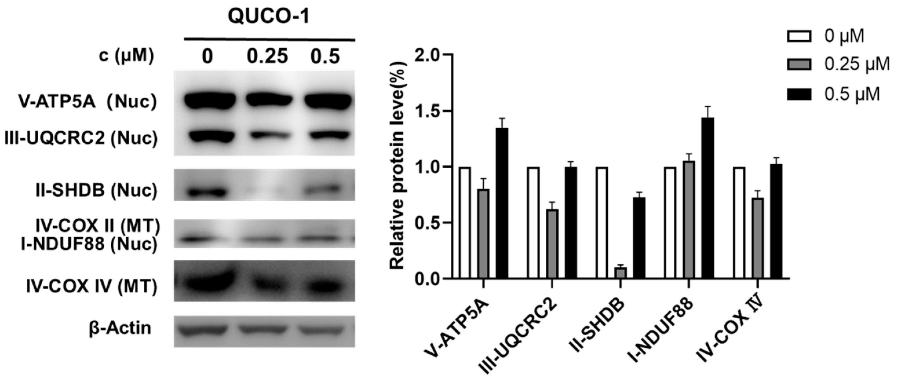 Molecules 28 02690 g005 Molecules 28 02690 g005
