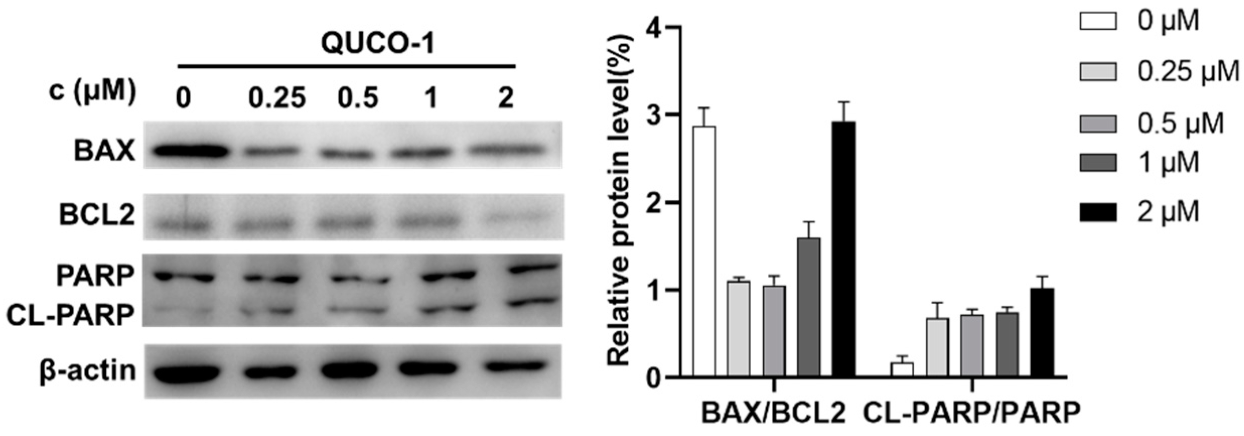 Molecules 28 02690 g006 Molecules 28 02690 g006