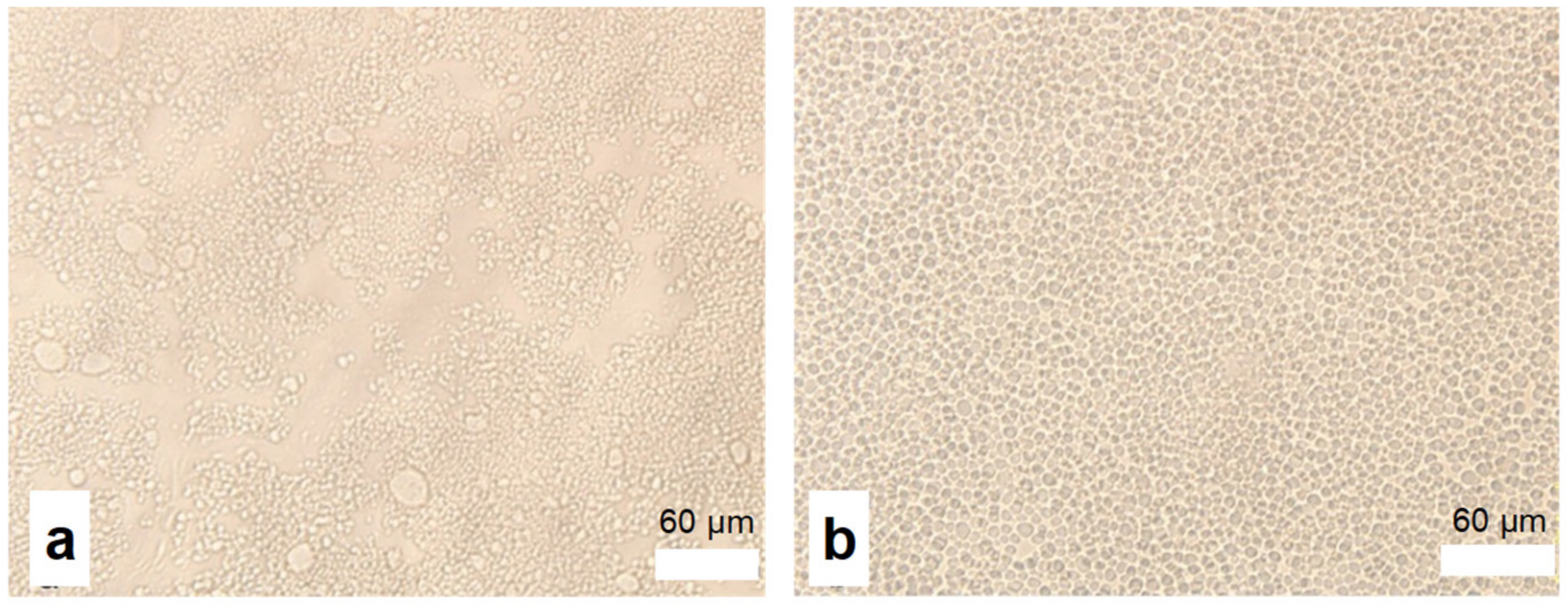 Molecules 28 02698 g001 Molecules 28 02698 g001