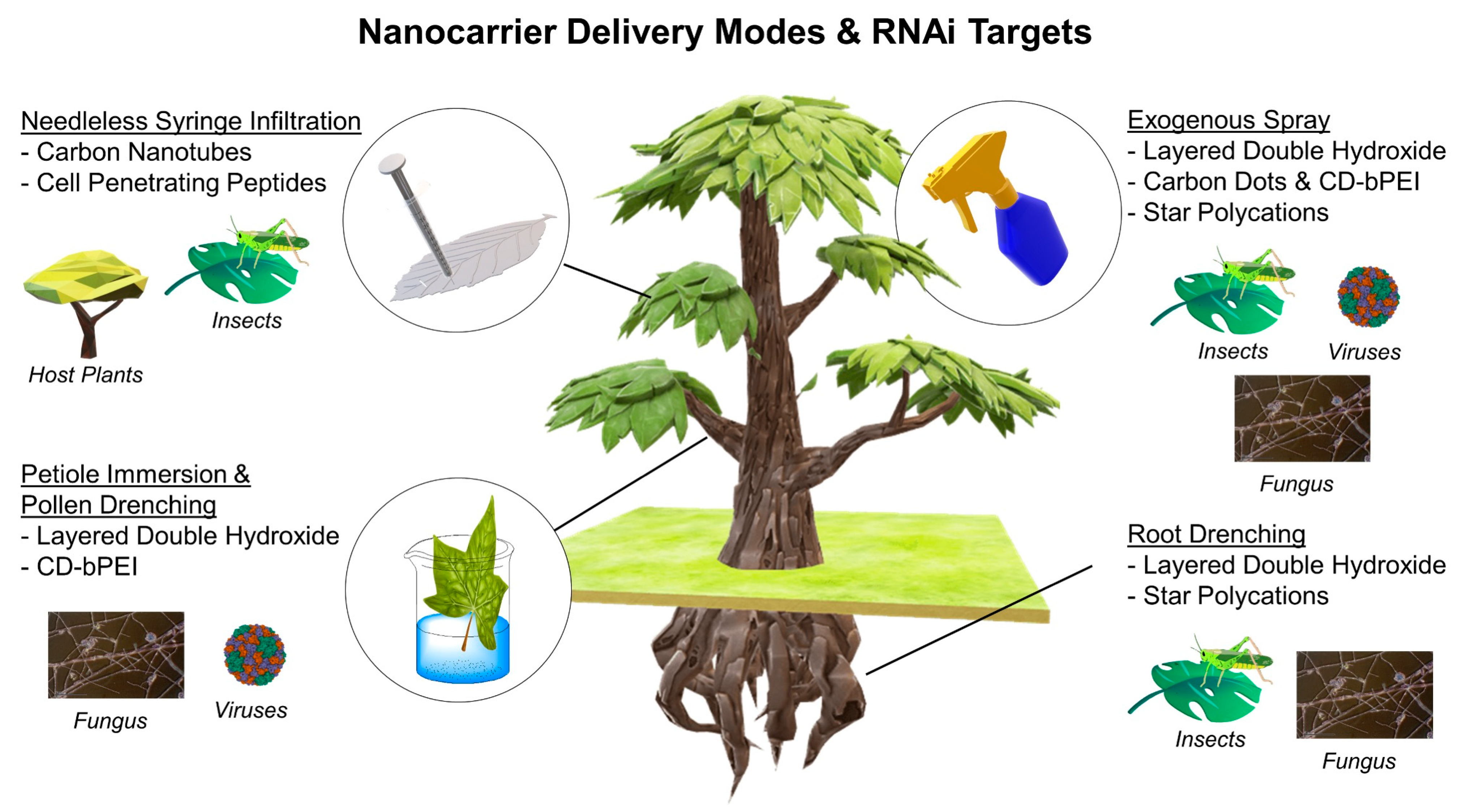 Molecules 28 02700 g001 Molecules 28 02700 g001