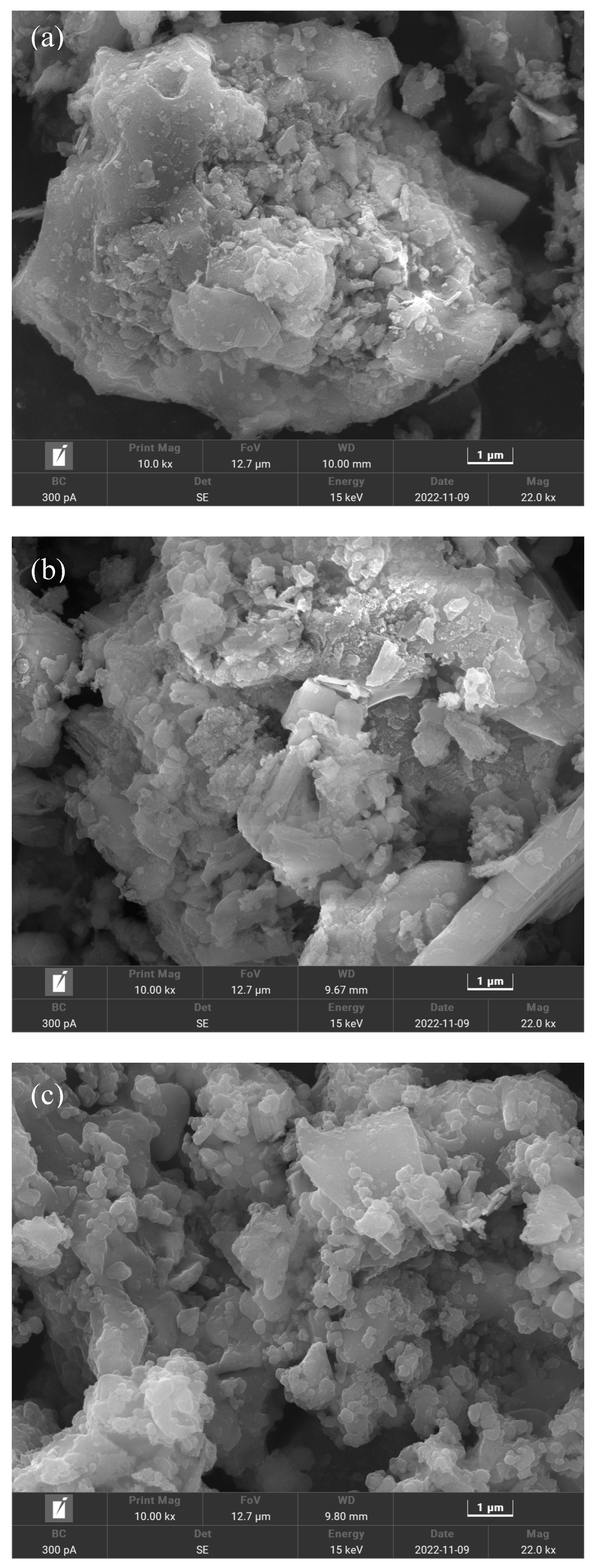 Molecules 28 02706 g010