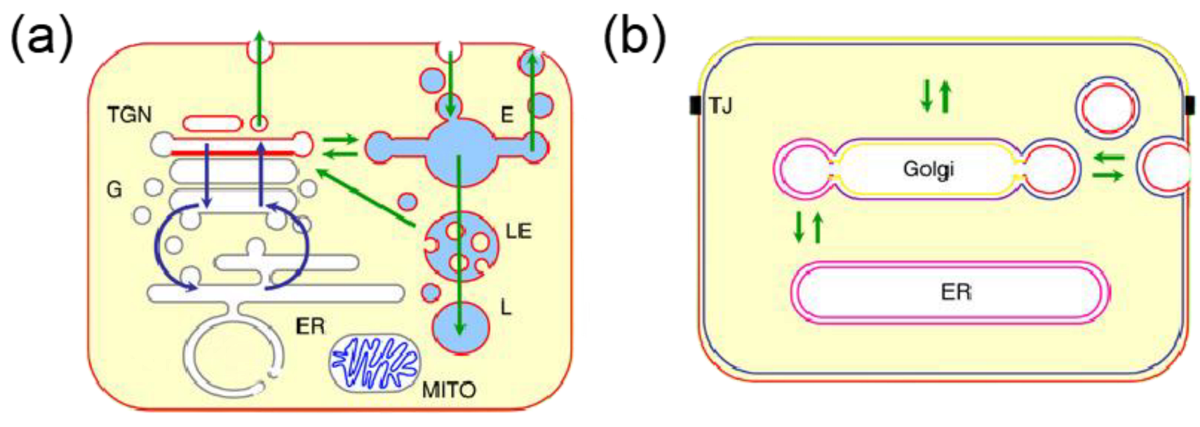 Molecules 28 02712 g001