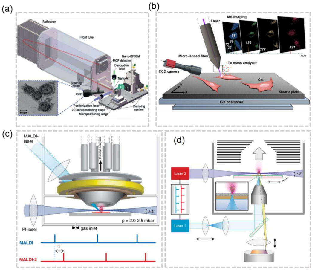 Molecules 28 02712 g003