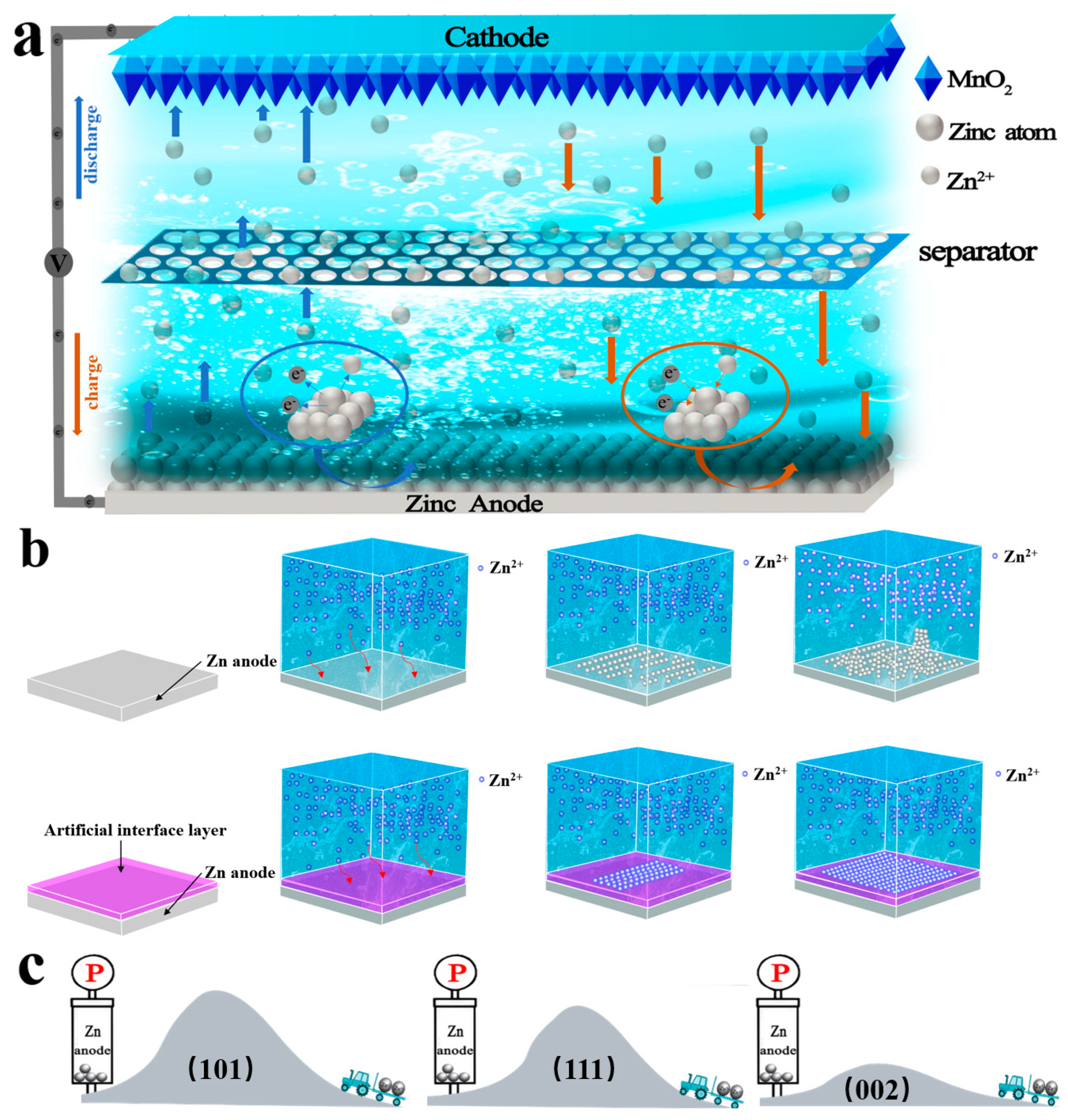 Molecules 28 02721 g003