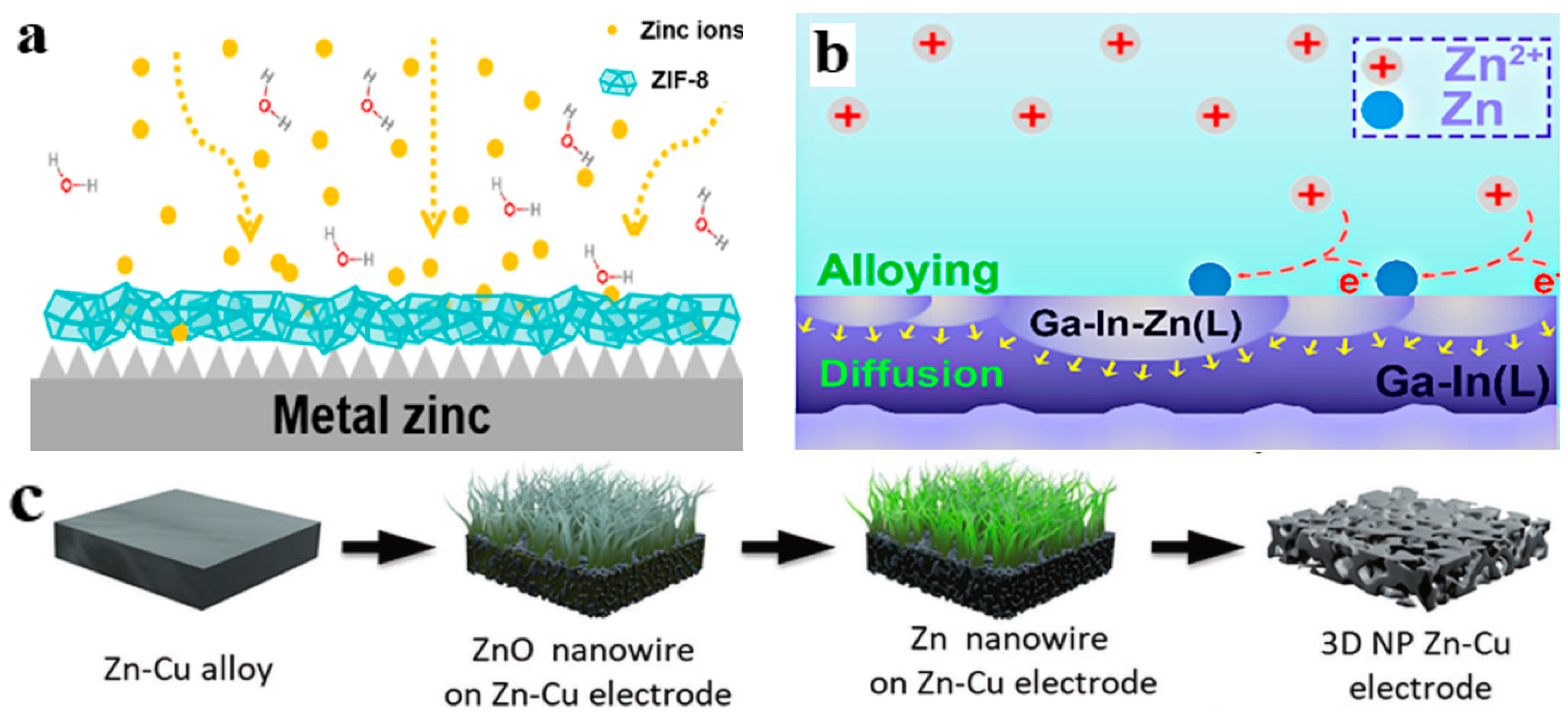 Molecules 28 02721 g005a
