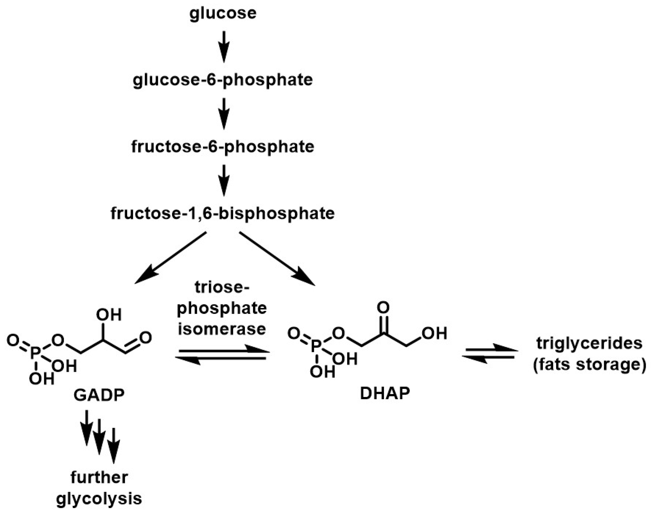 Molecules 28 02724 g002 Molecules 28 02724 g002