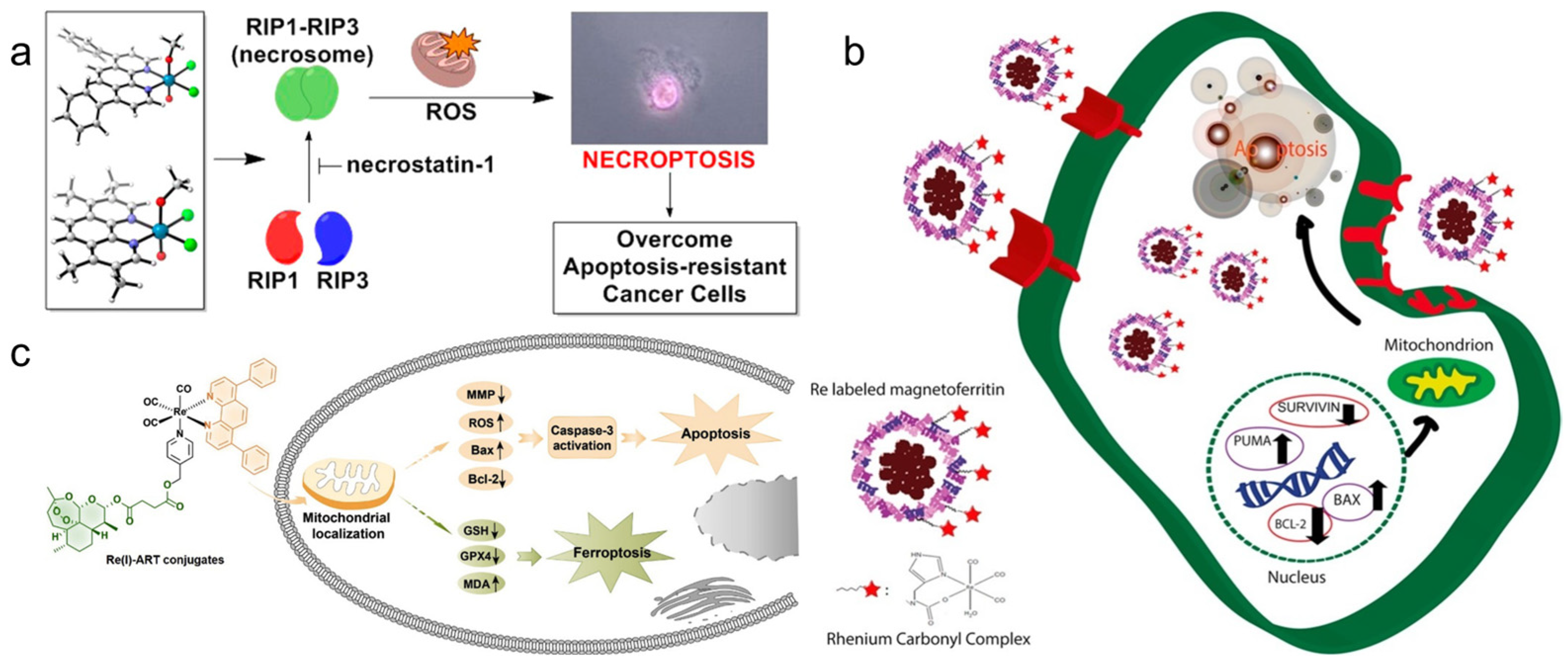 Molecules 28 02733 g004