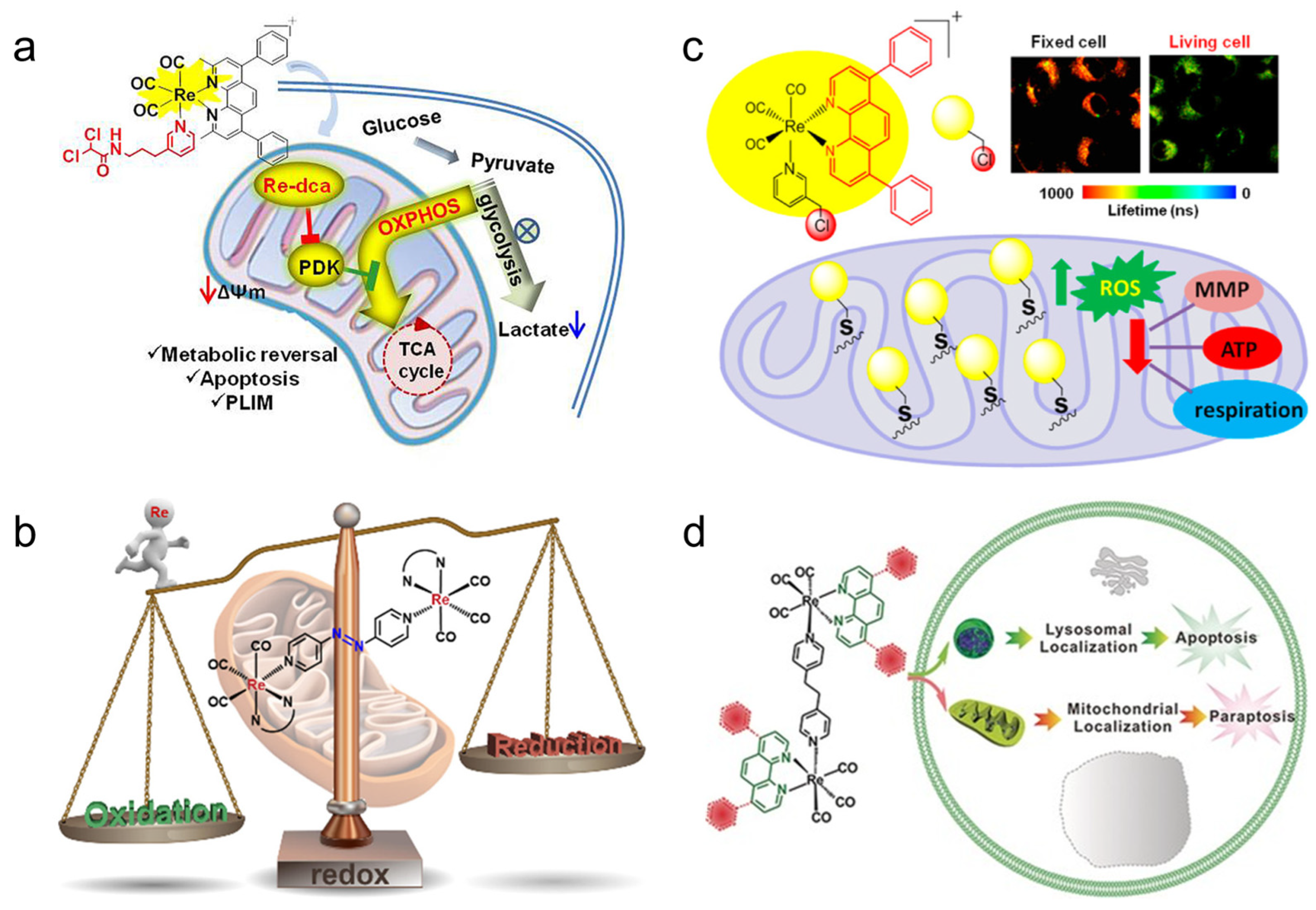 Molecules 28 02733 g006
