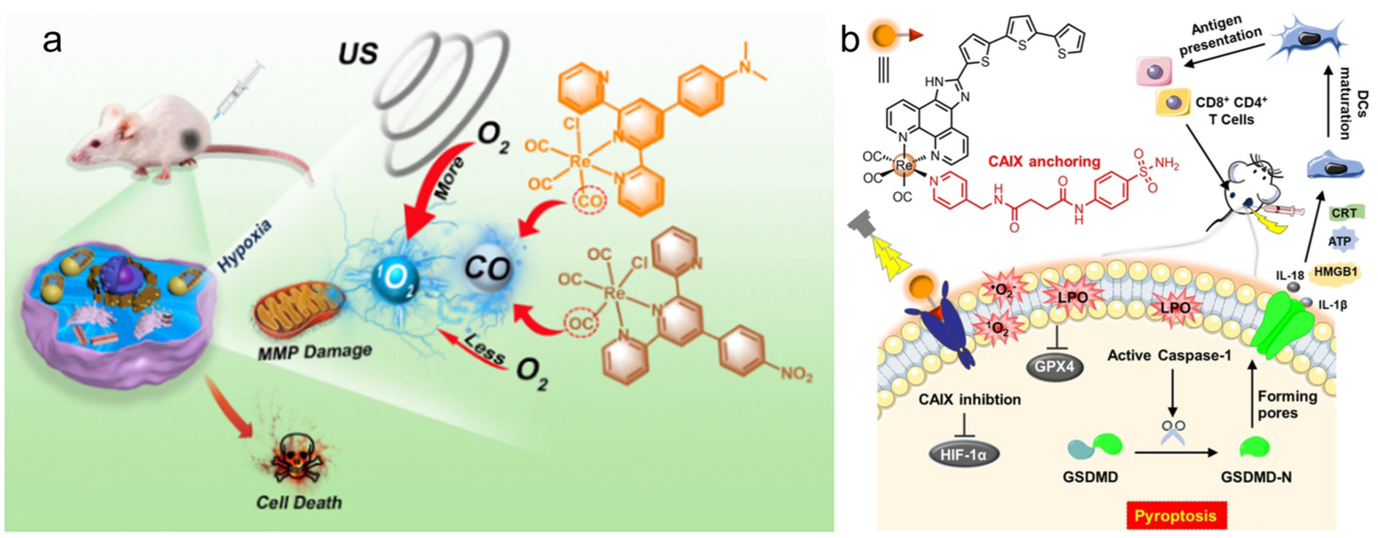 Molecules 28 02733 g007