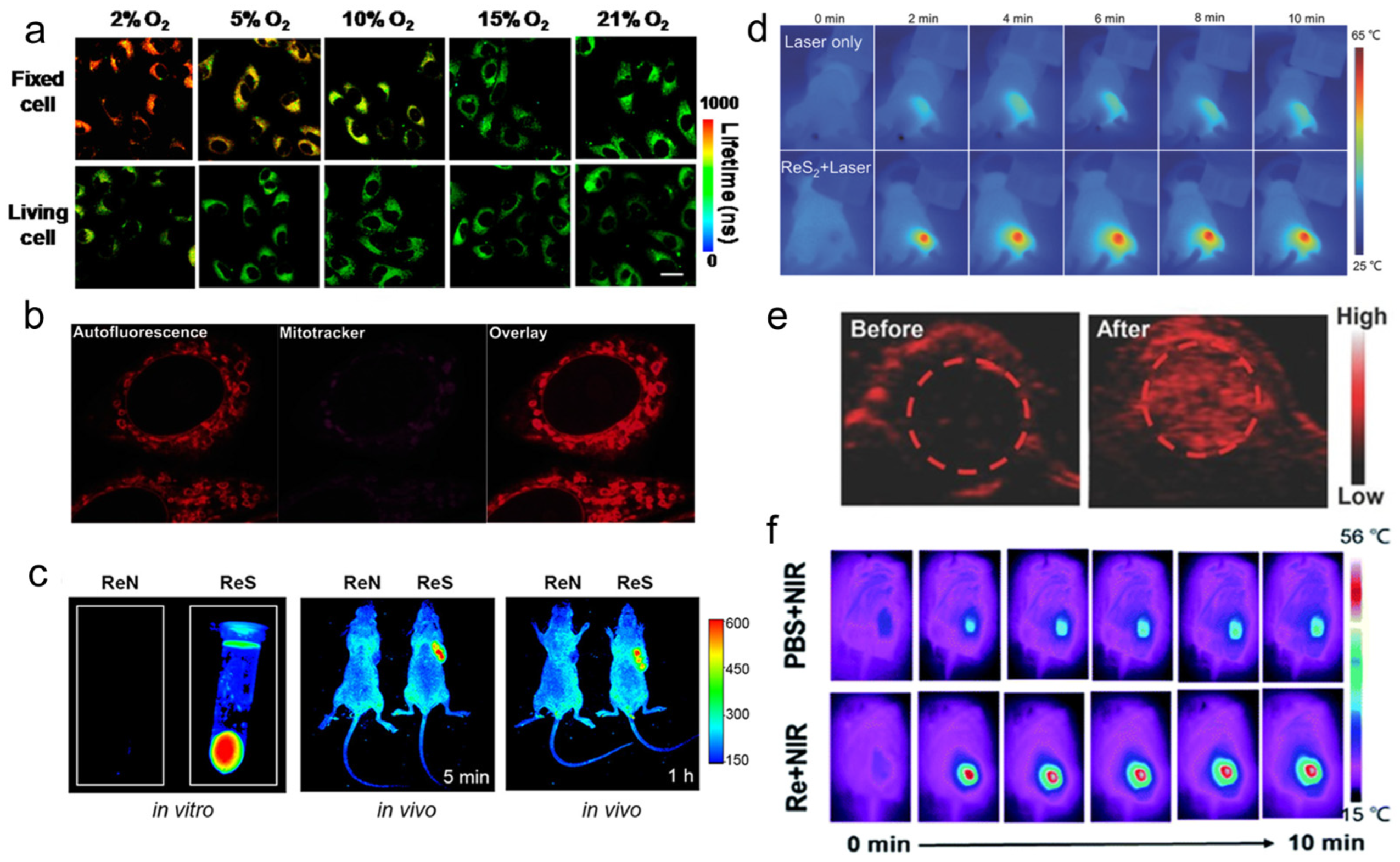 Molecules 28 02733 g009