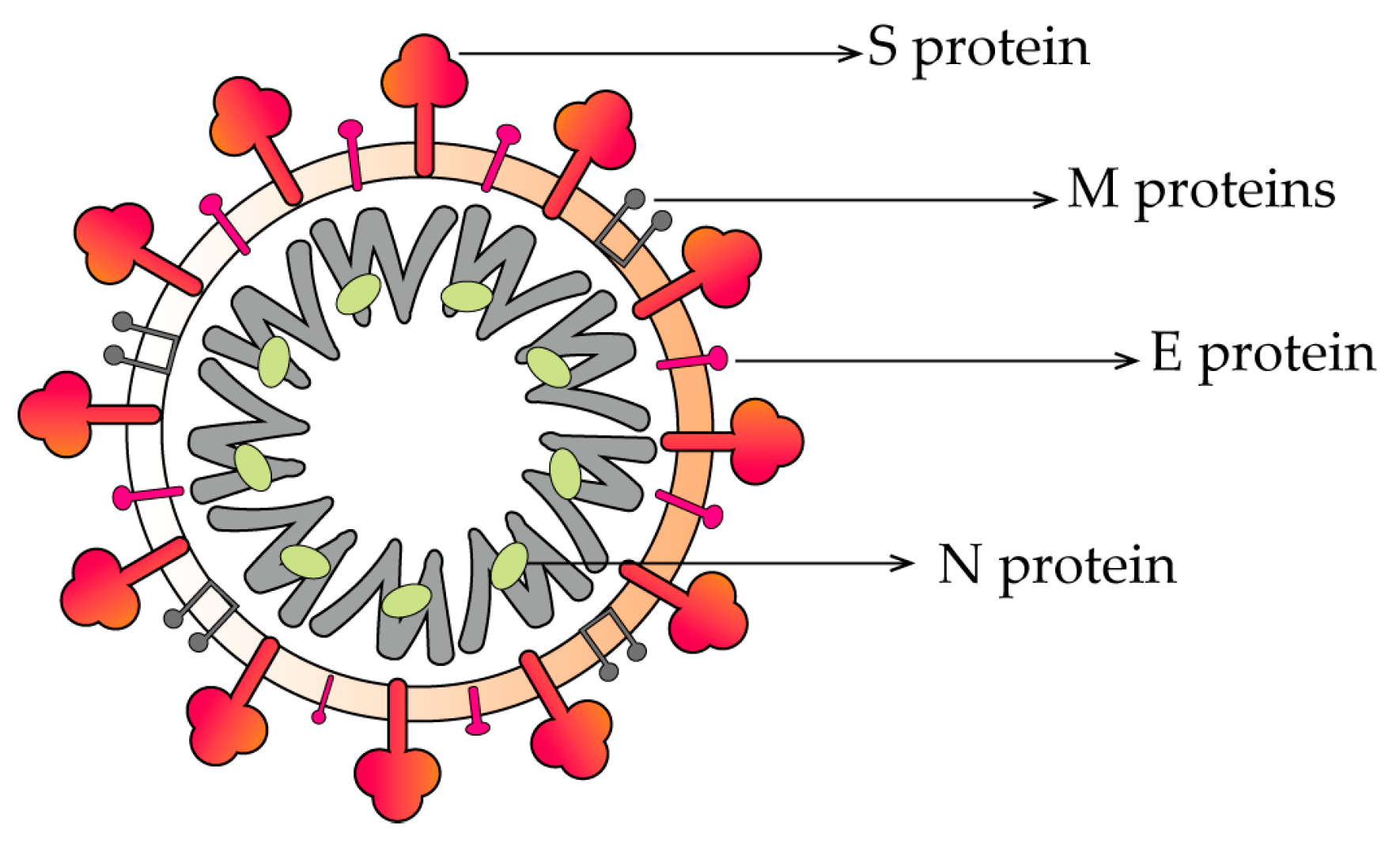 Molecules 28 02735 g001