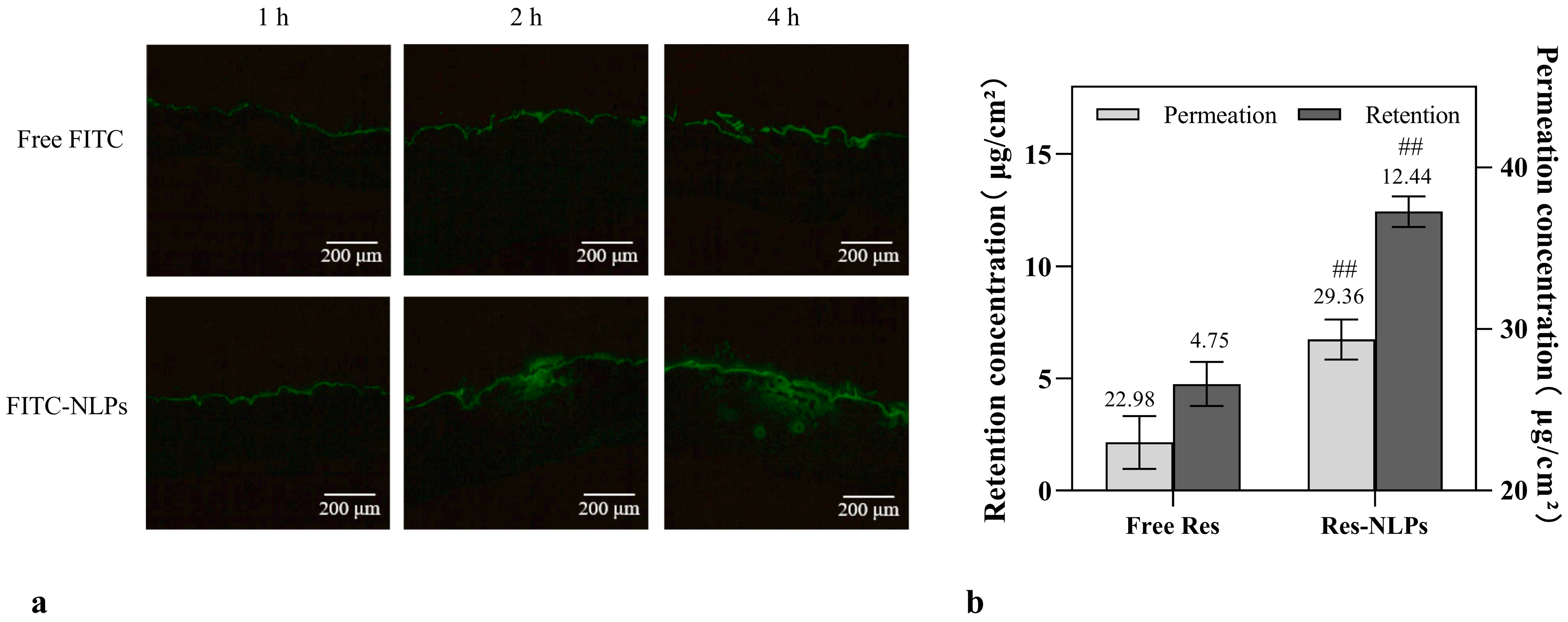 Molecules 28 02738 g002 Molecules 28 02738 g002