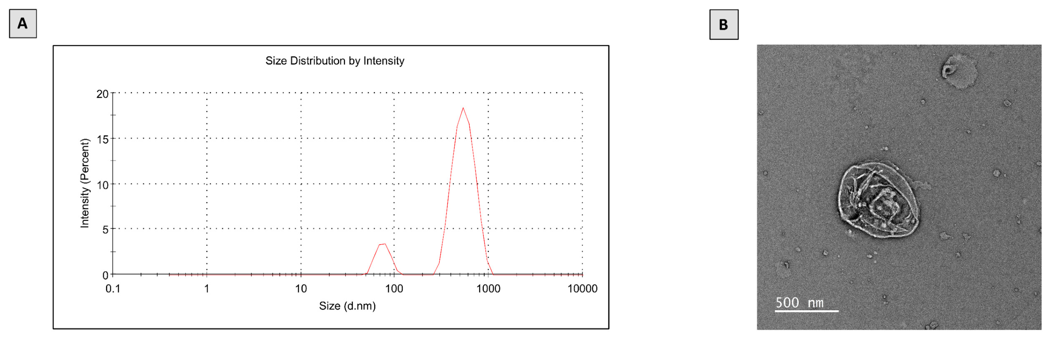 Molecules 28 02741 g001