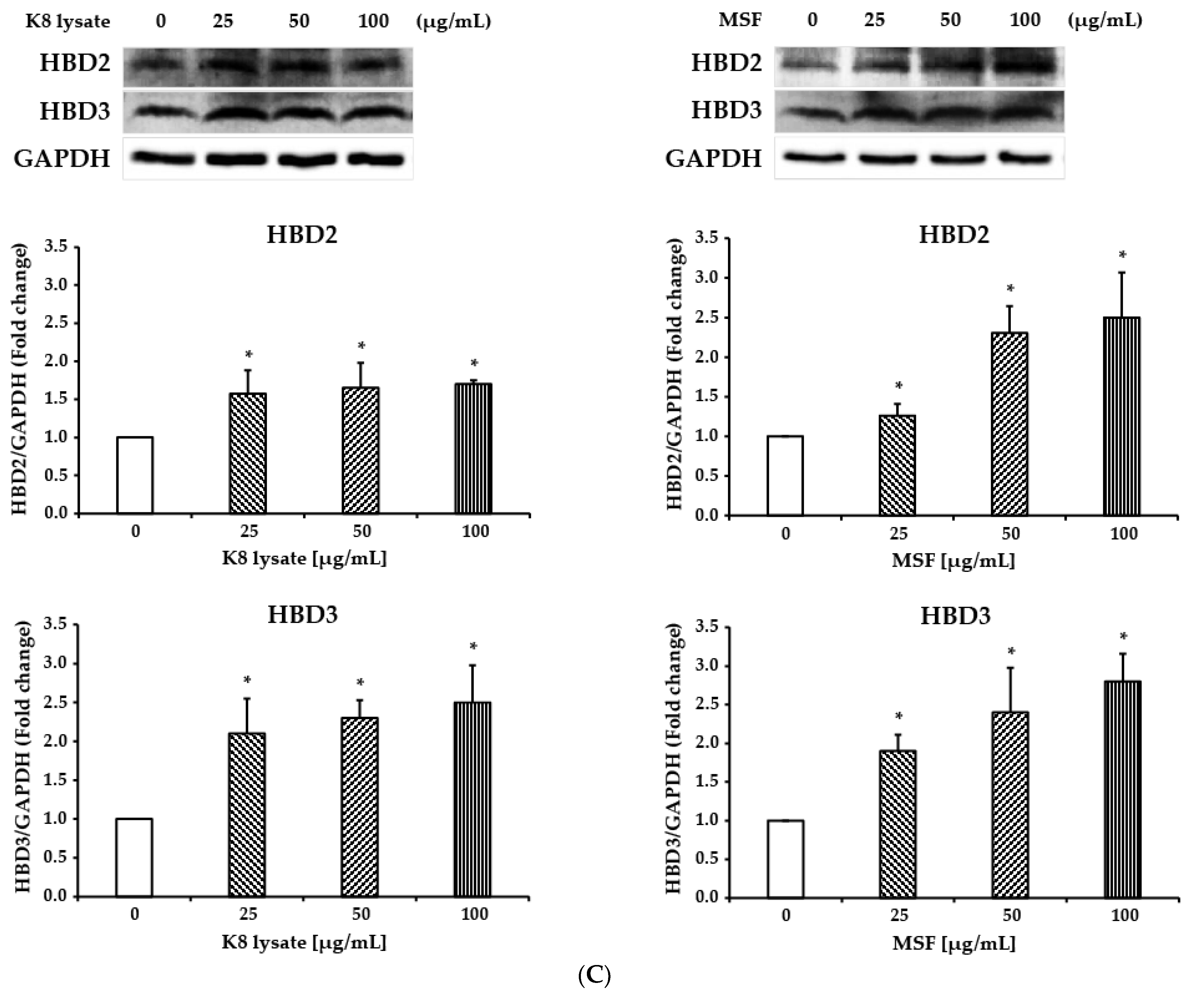 Molecules 28 02744 g001b