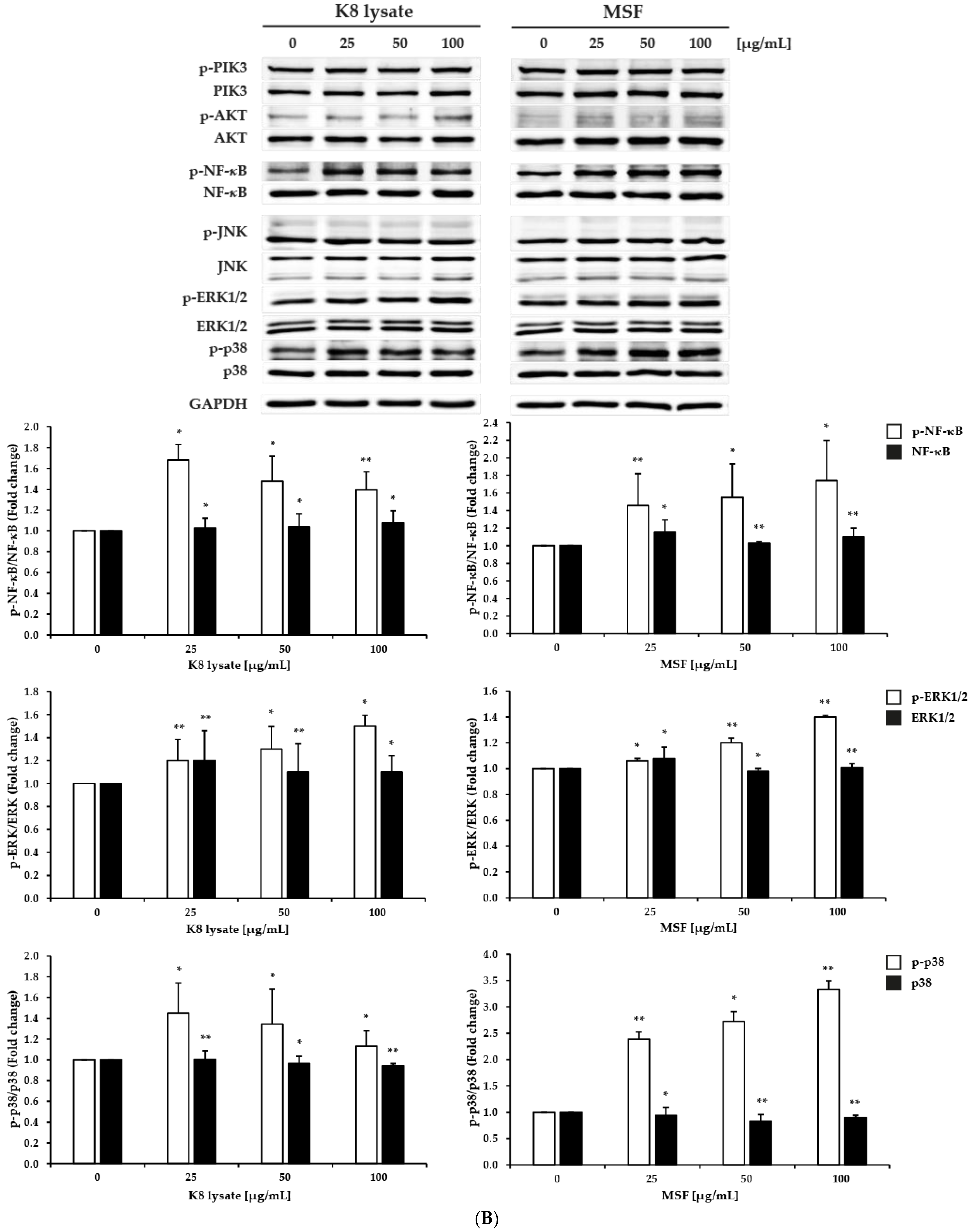 Molecules 28 02744 g002b