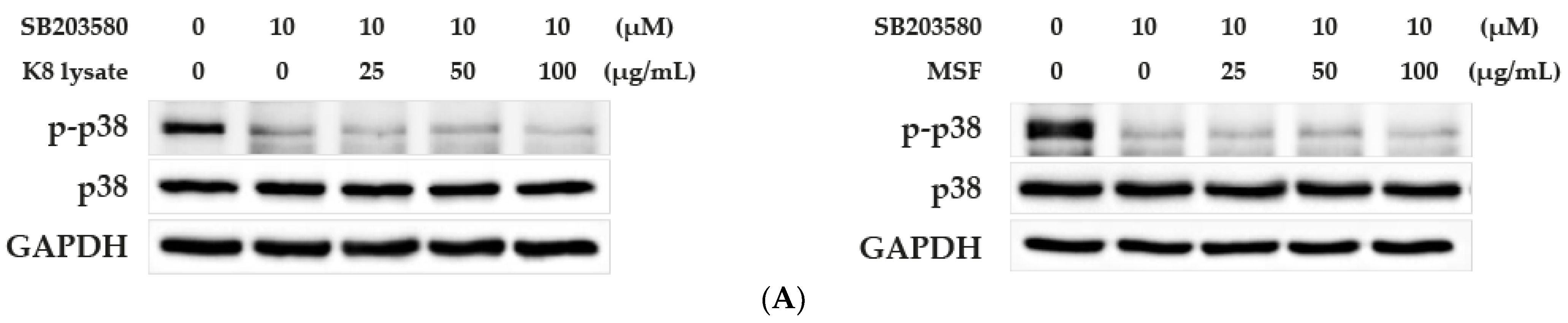Molecules 28 02744 g003a