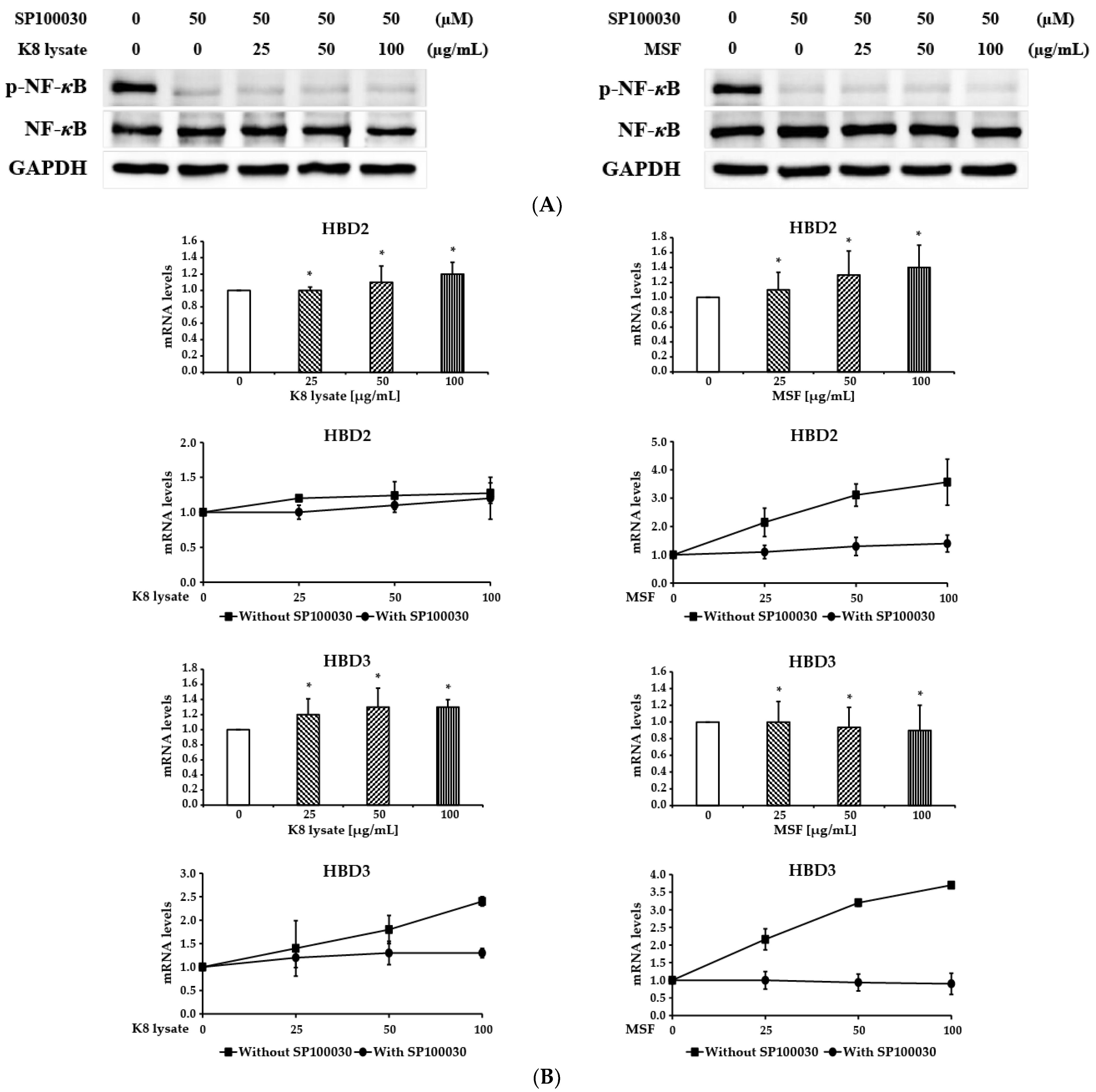 Molecules 28 02744 g004