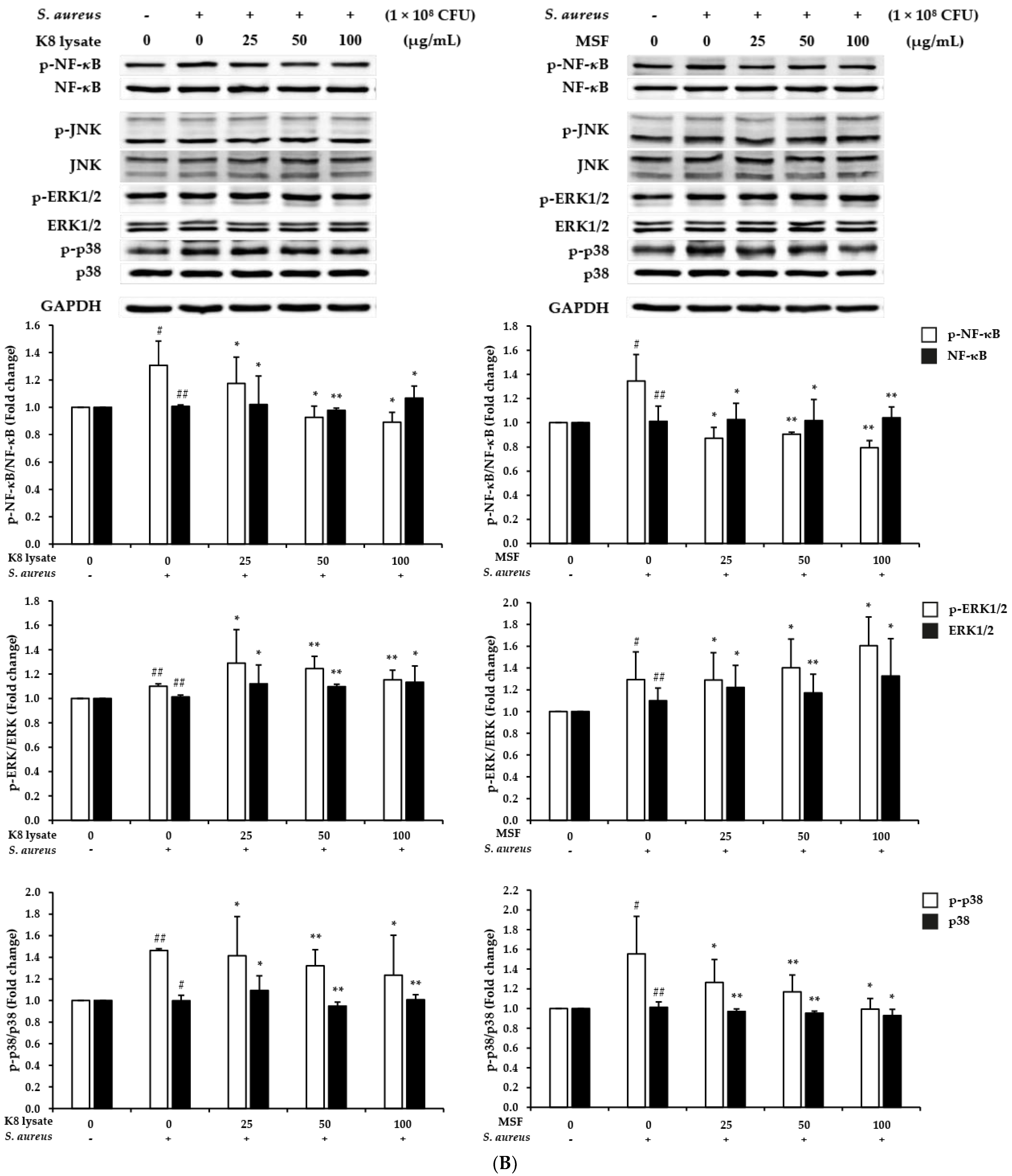 Molecules 28 02744 g005b