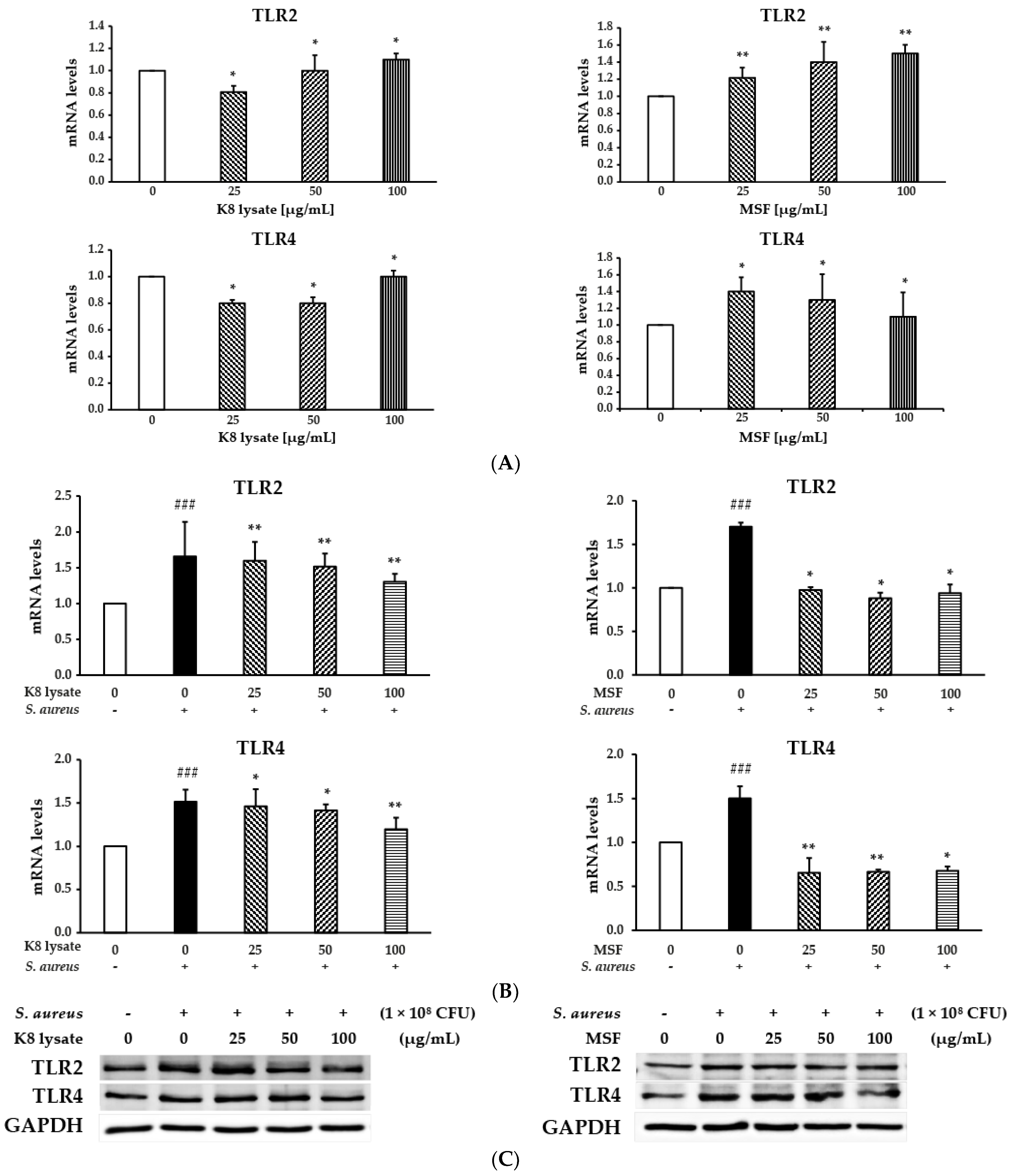 Molecules 28 02744 g006