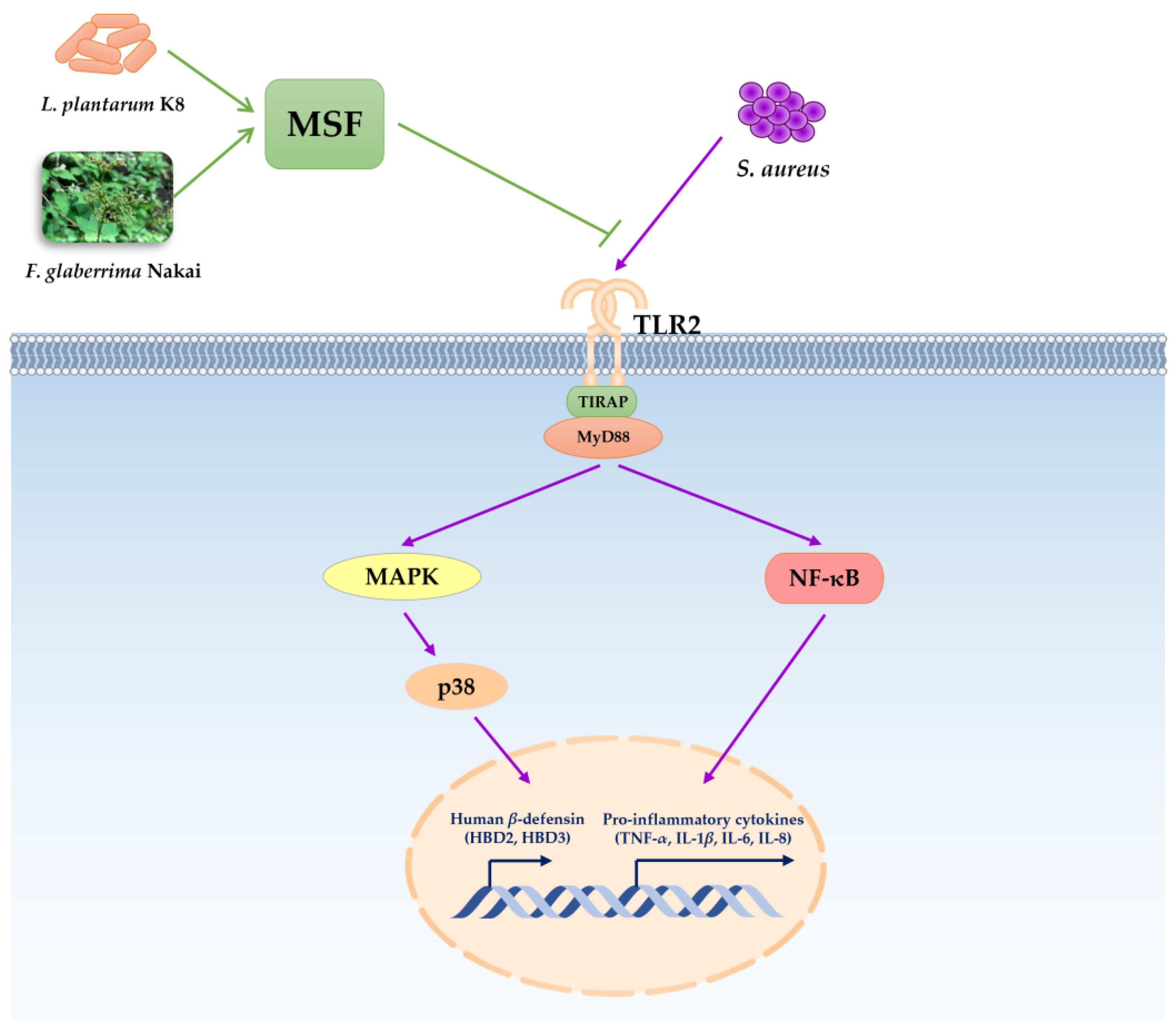 Molecules 28 02744 g008