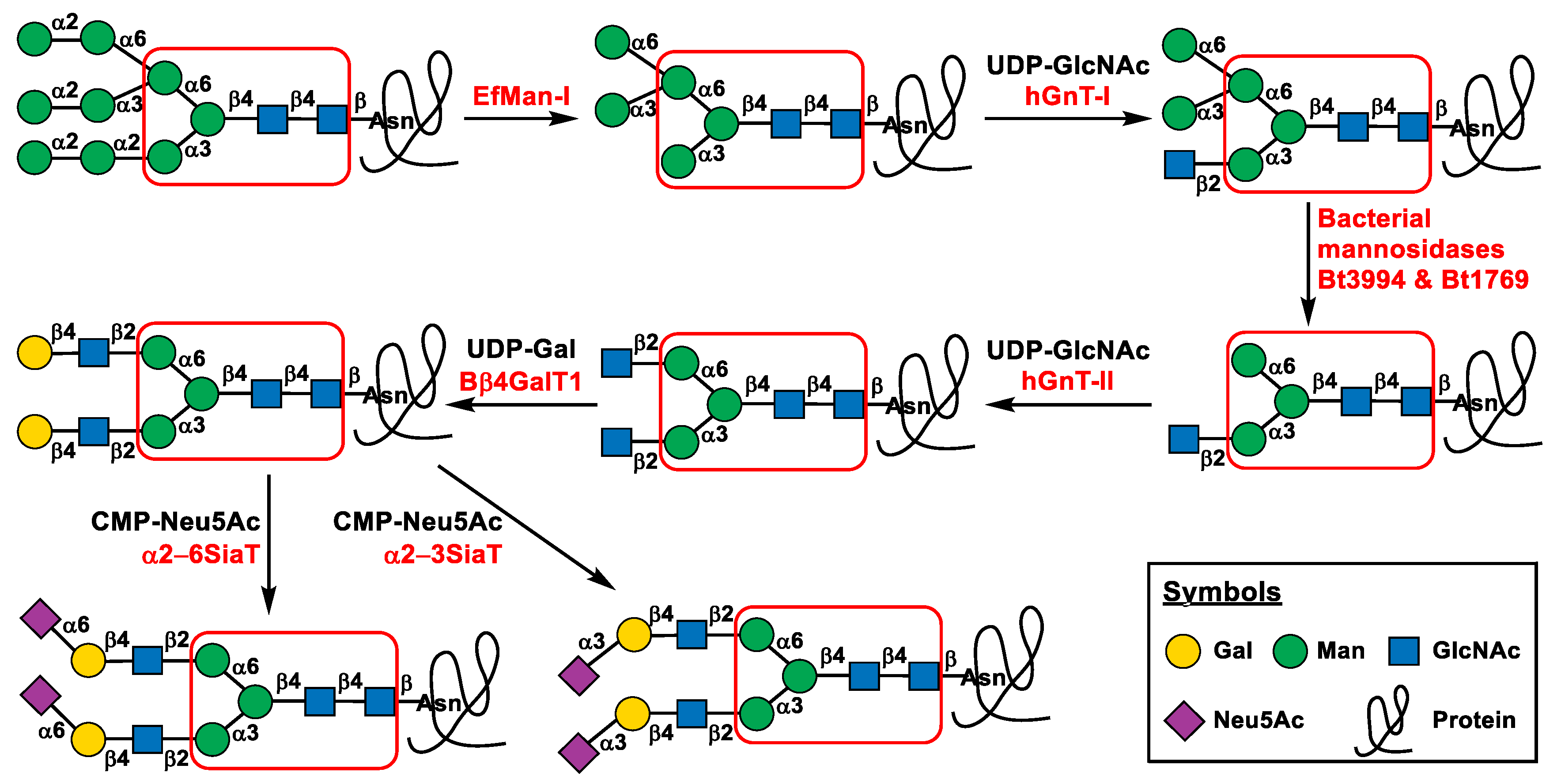 Molecules 28 02753 g001