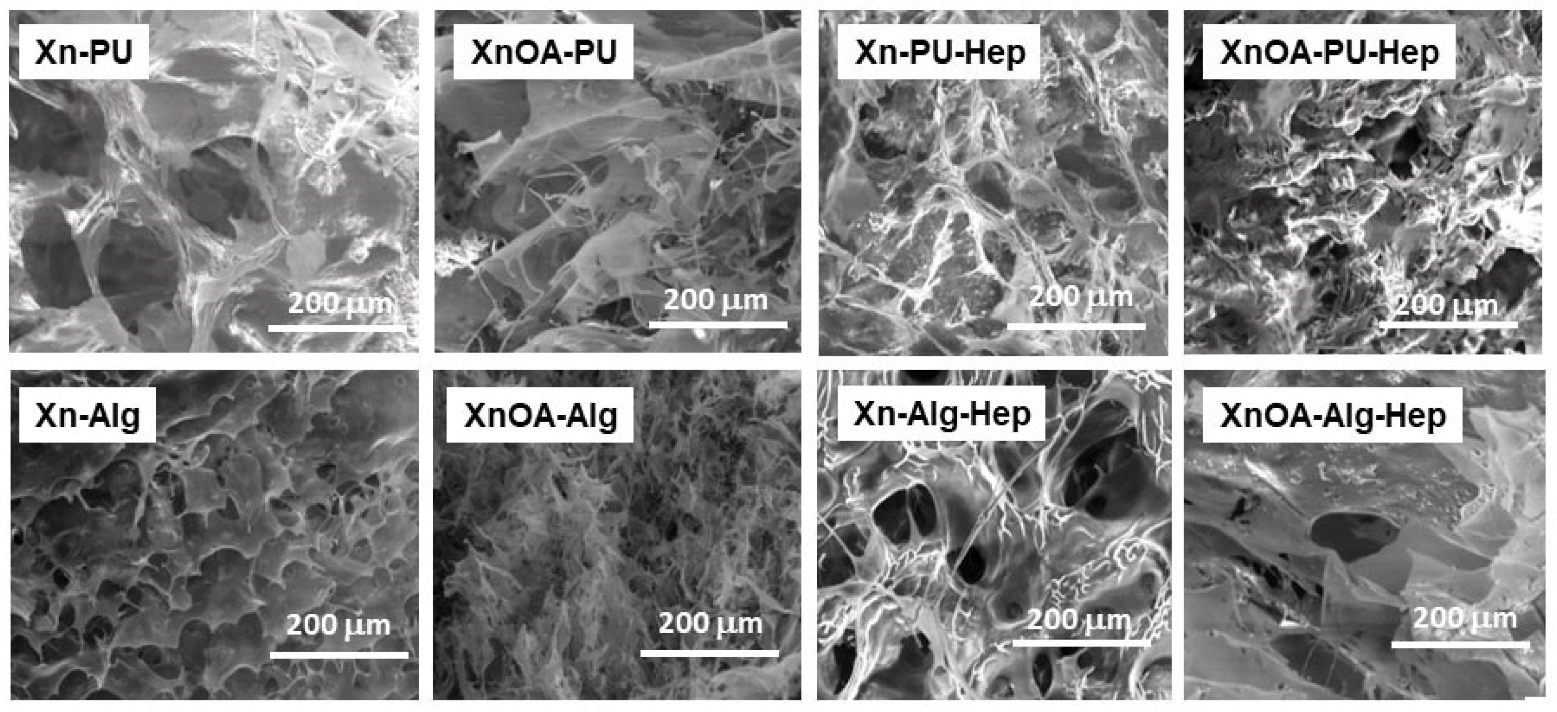 Molecules 28 02757 g003