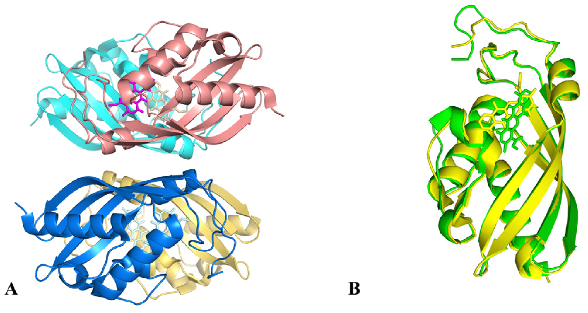 Molecules 28 02761 g004 Molecules 28 02761 g004