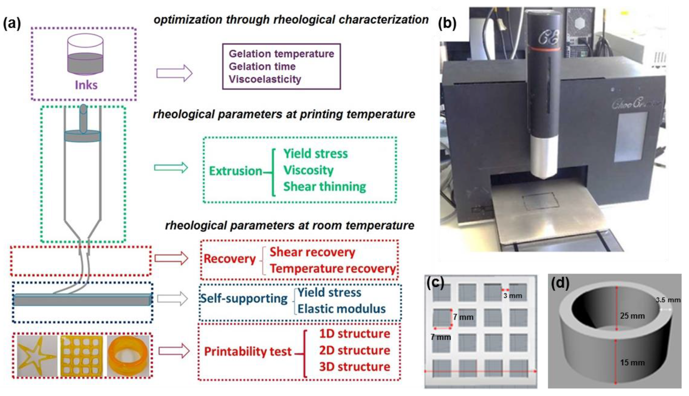 Molecules 28 02766 g001