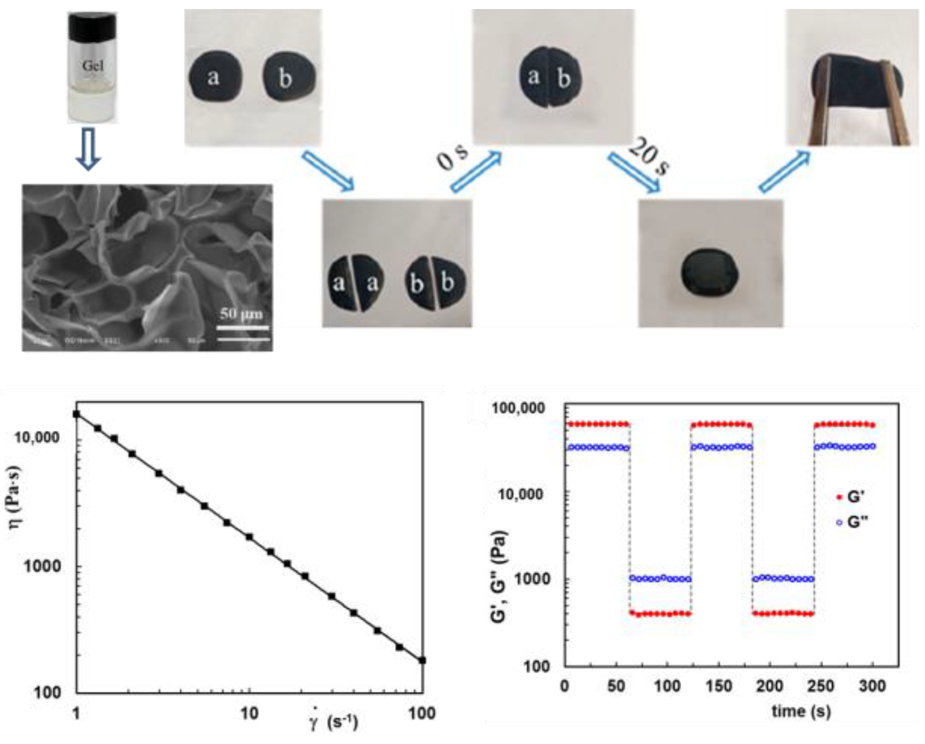 Molecules 28 02766 g008