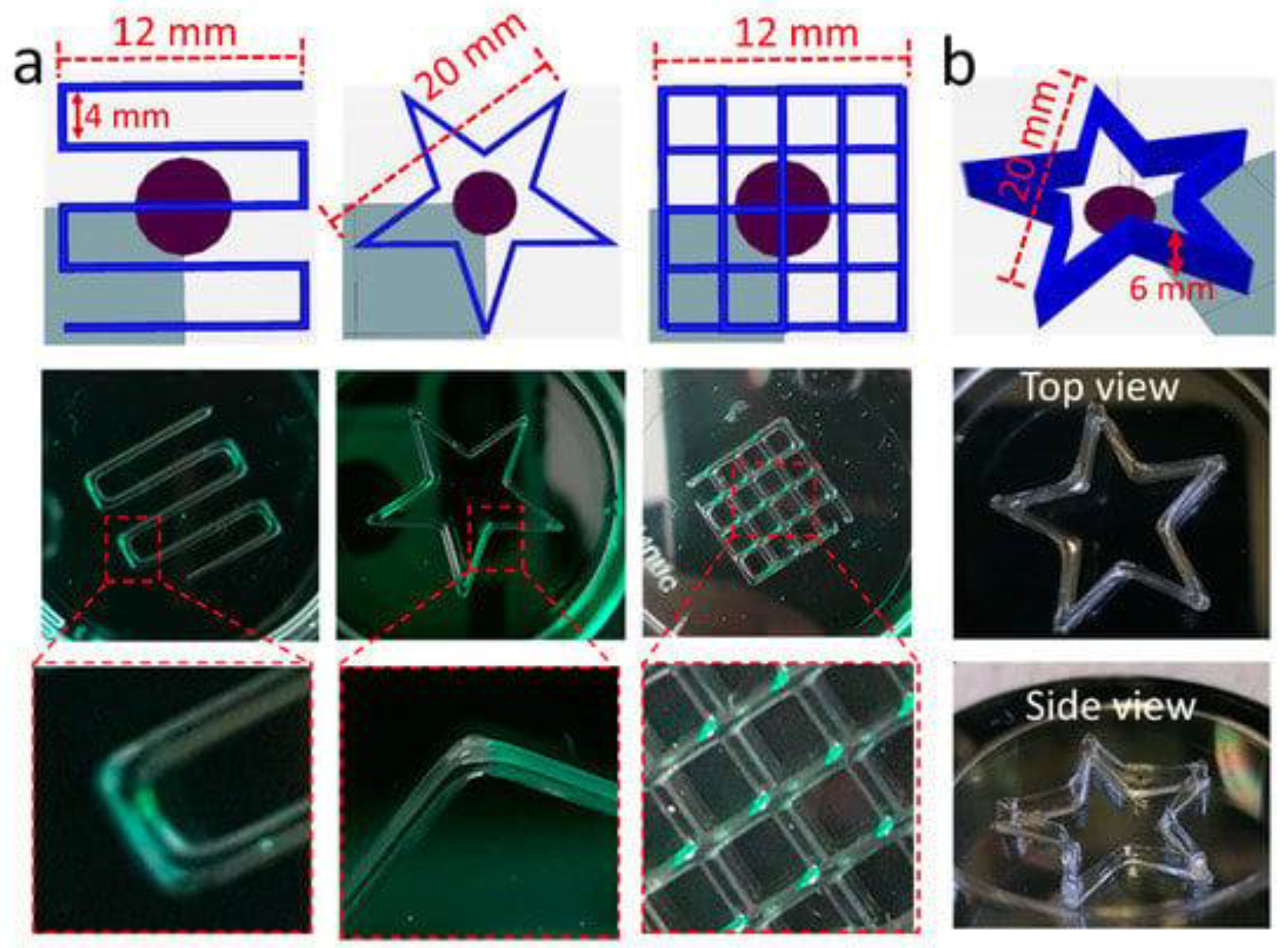 Molecules 28 02766 g011