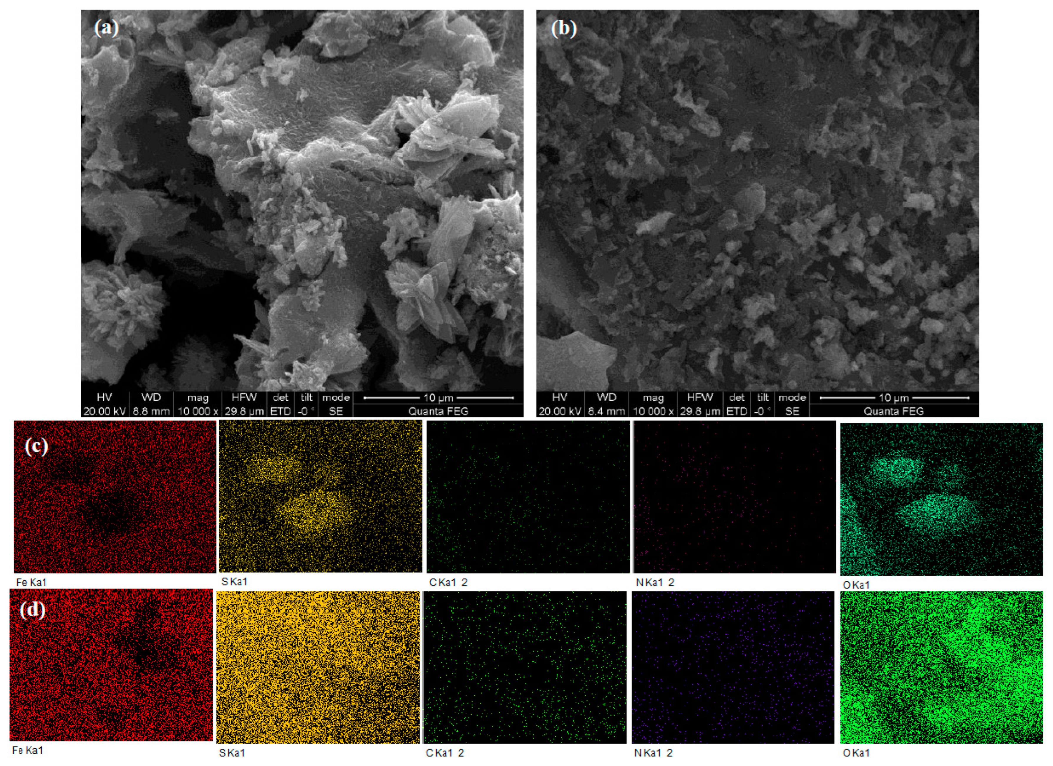 Molecules 28 02771 g001