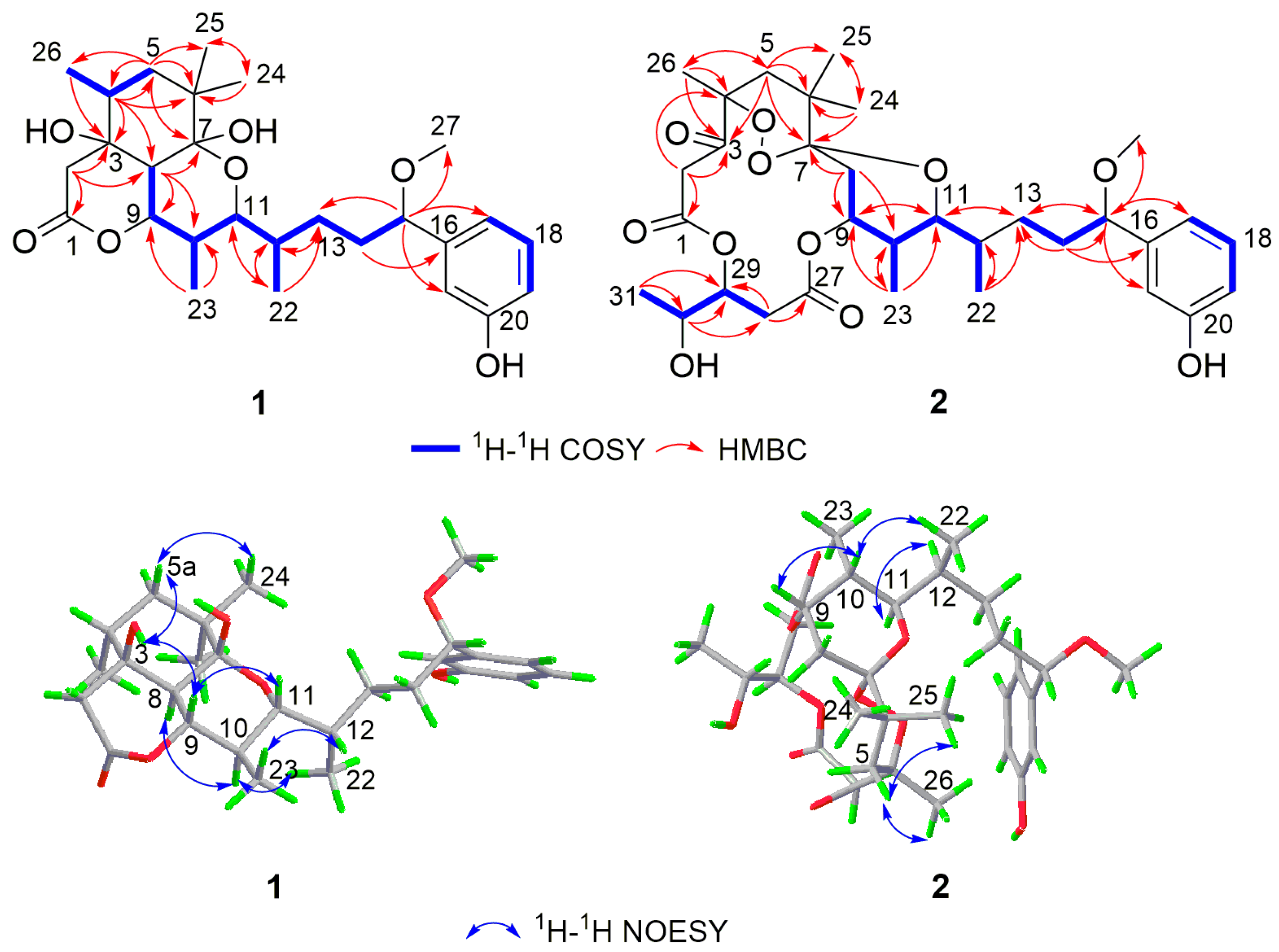 Molecules 28 02786 g002