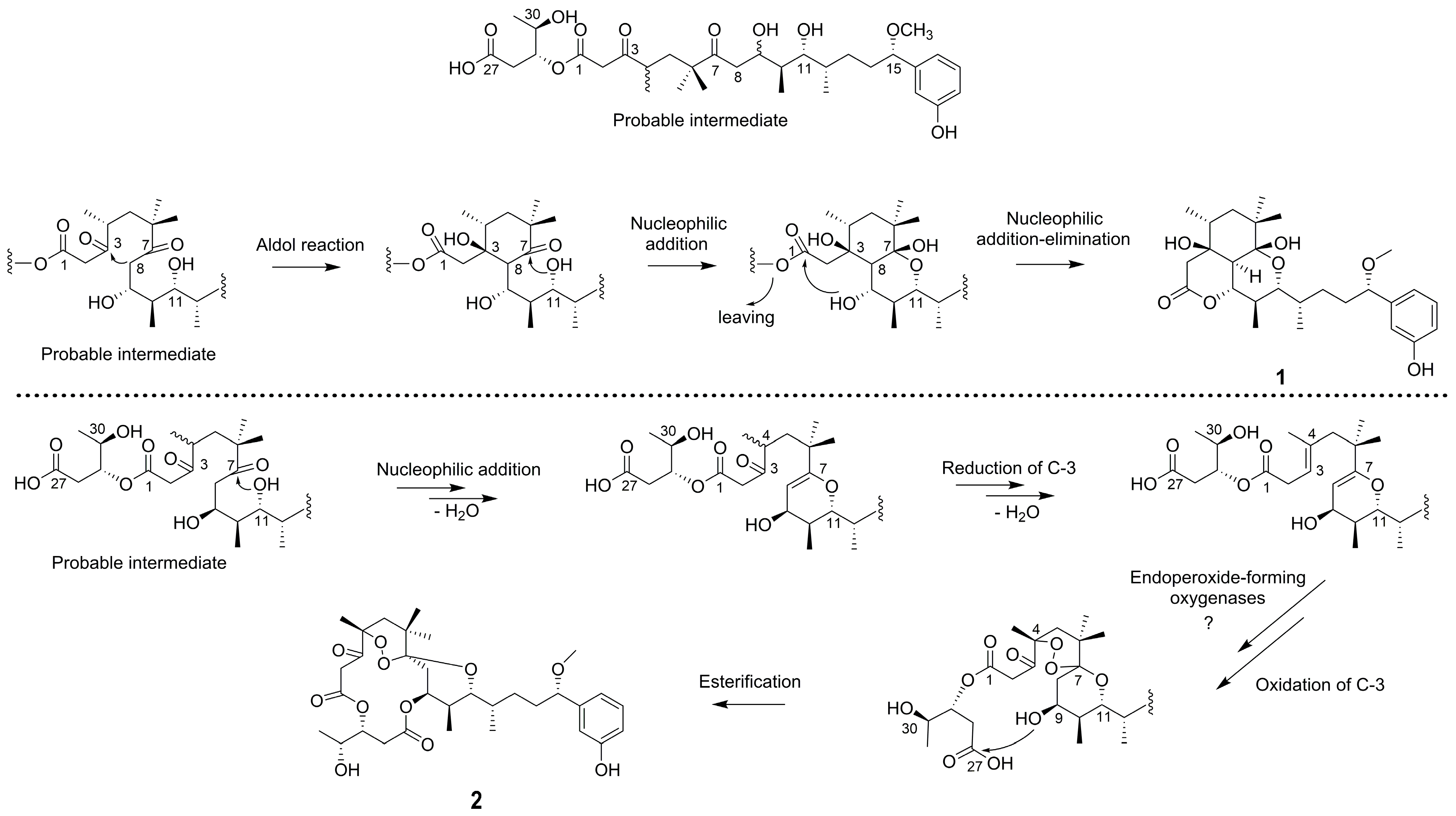 Molecules 28 02786 sch001