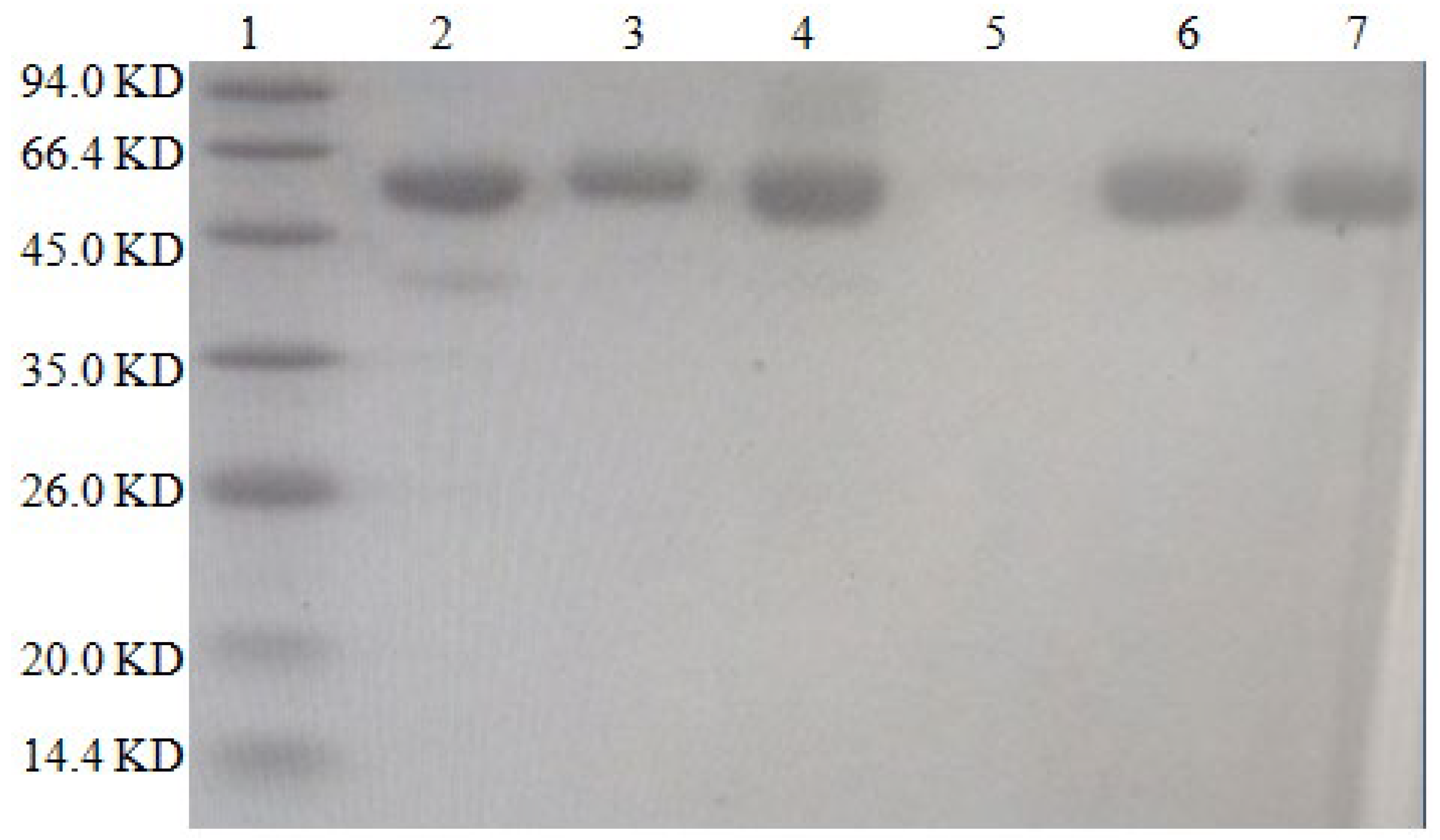 Molecules 28 02789 g003 Molecules 28 02789 g003
