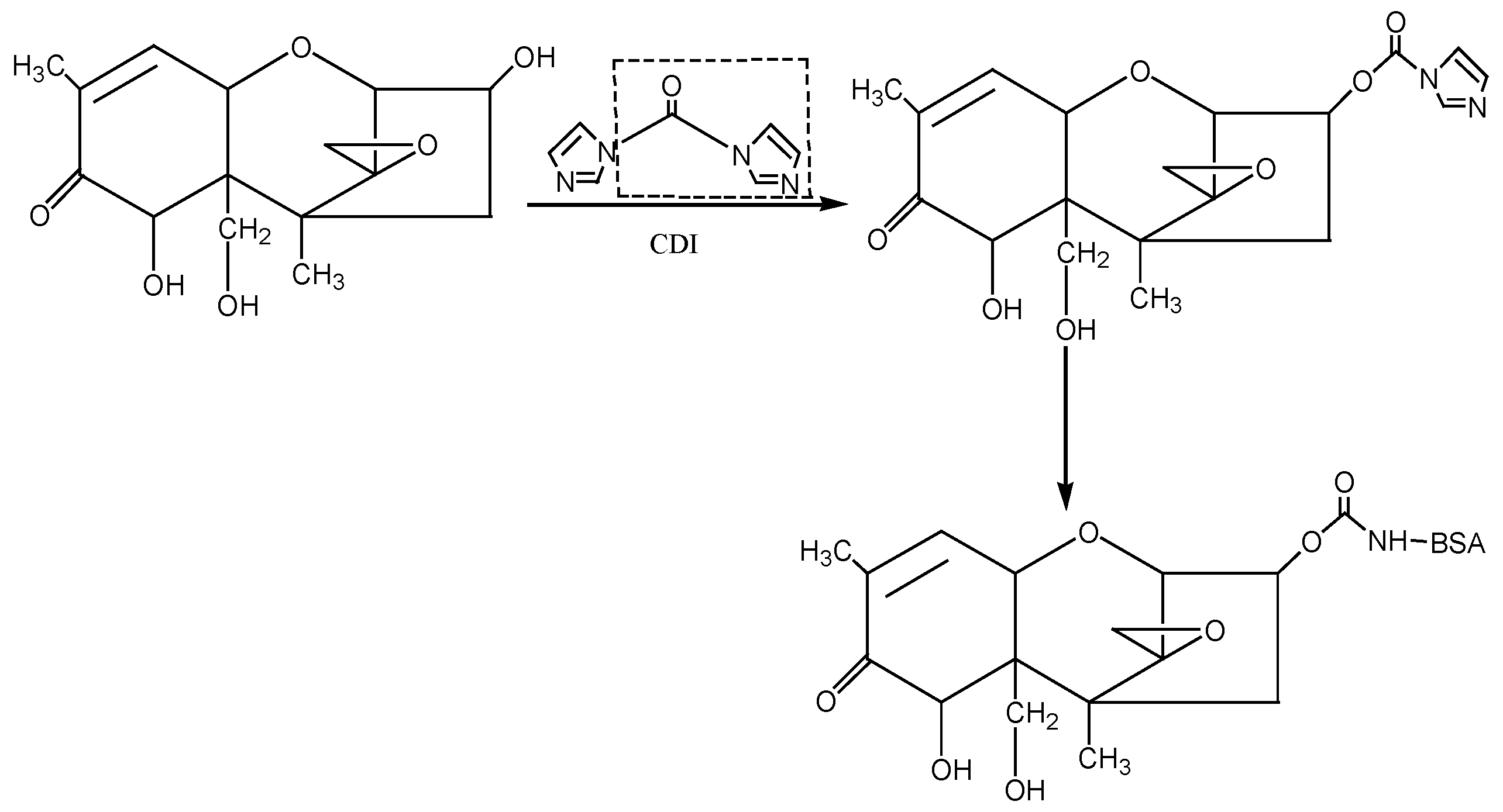 Molecules 28 02789 g007 Molecules 28 02789 g007