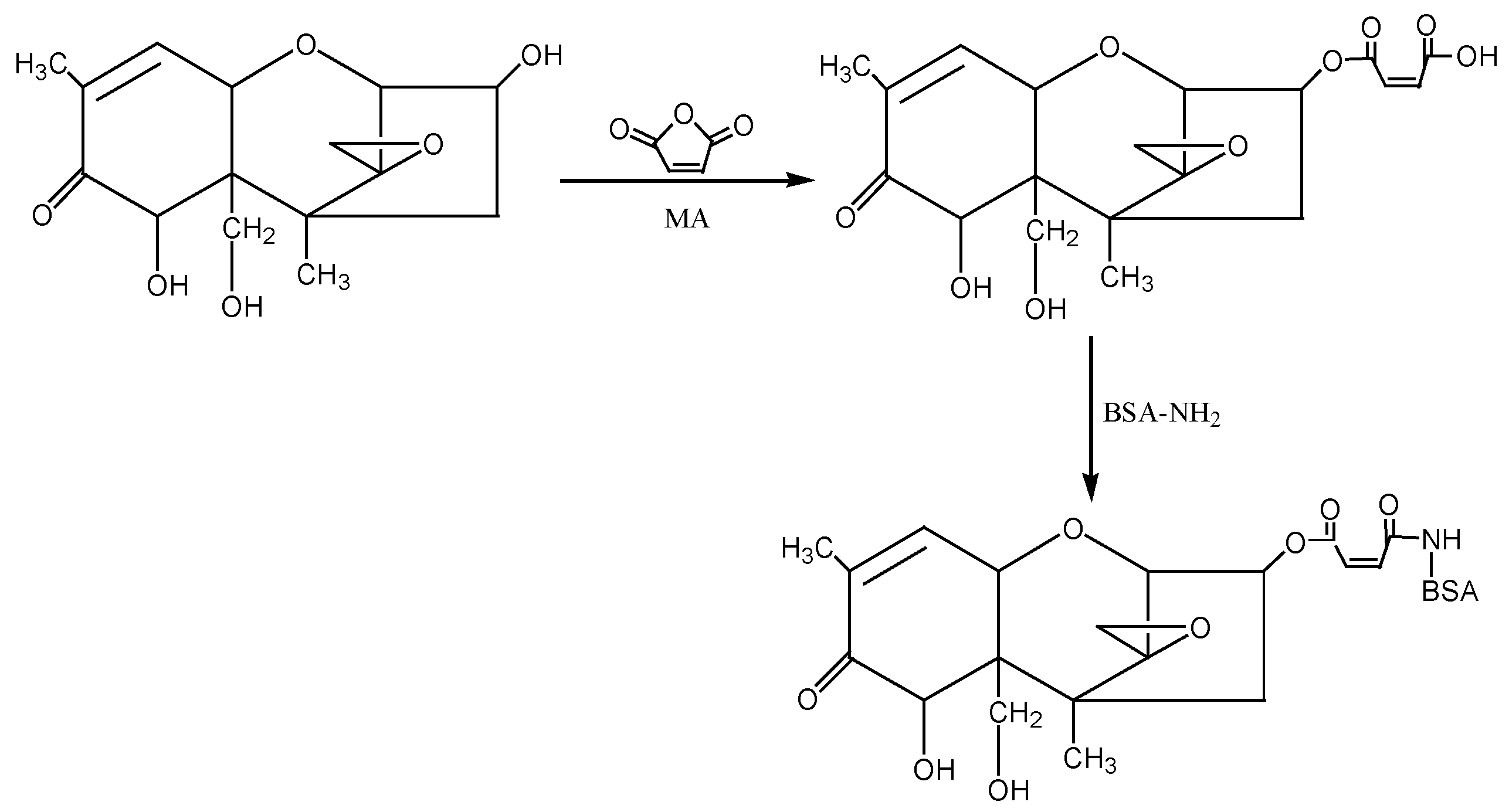 Molecules 28 02789 g008 Molecules 28 02789 g008