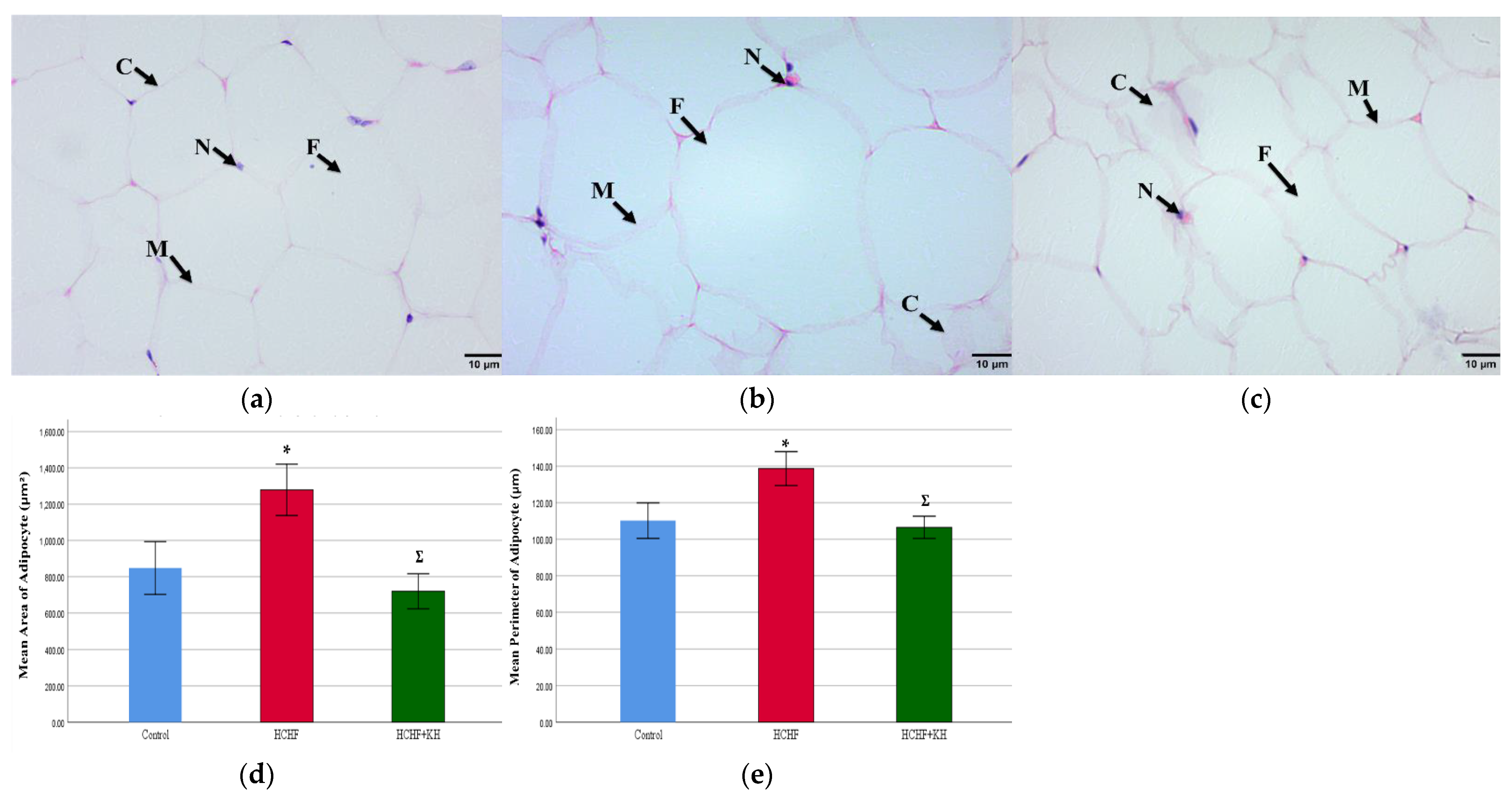 Molecules 28 02790 g008 Molecules 28 02790 g008