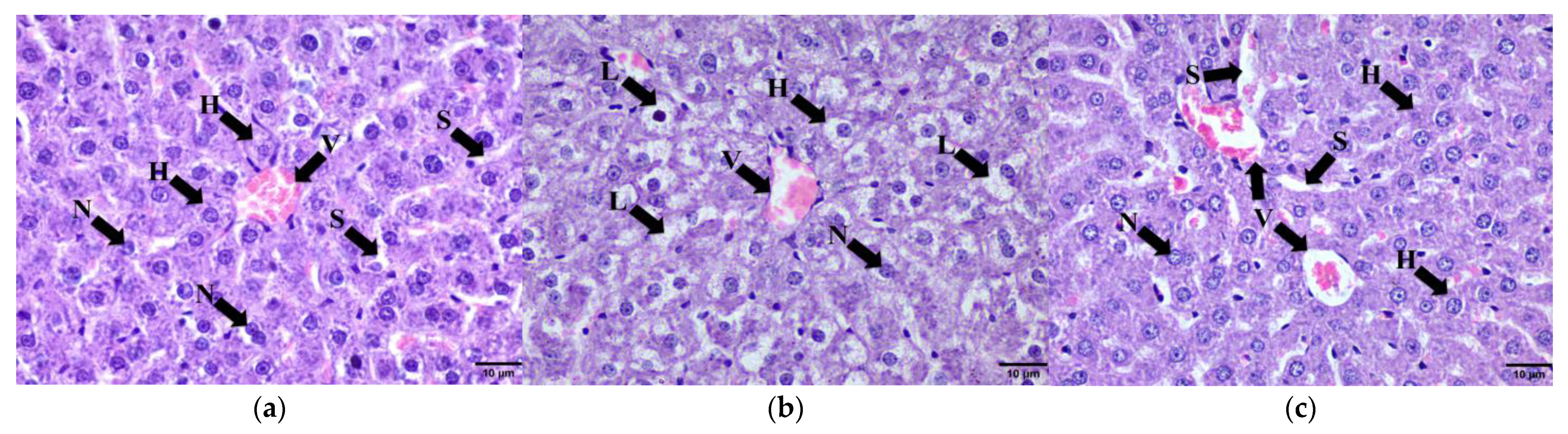 Molecules 28 02790 g009 Molecules 28 02790 g009