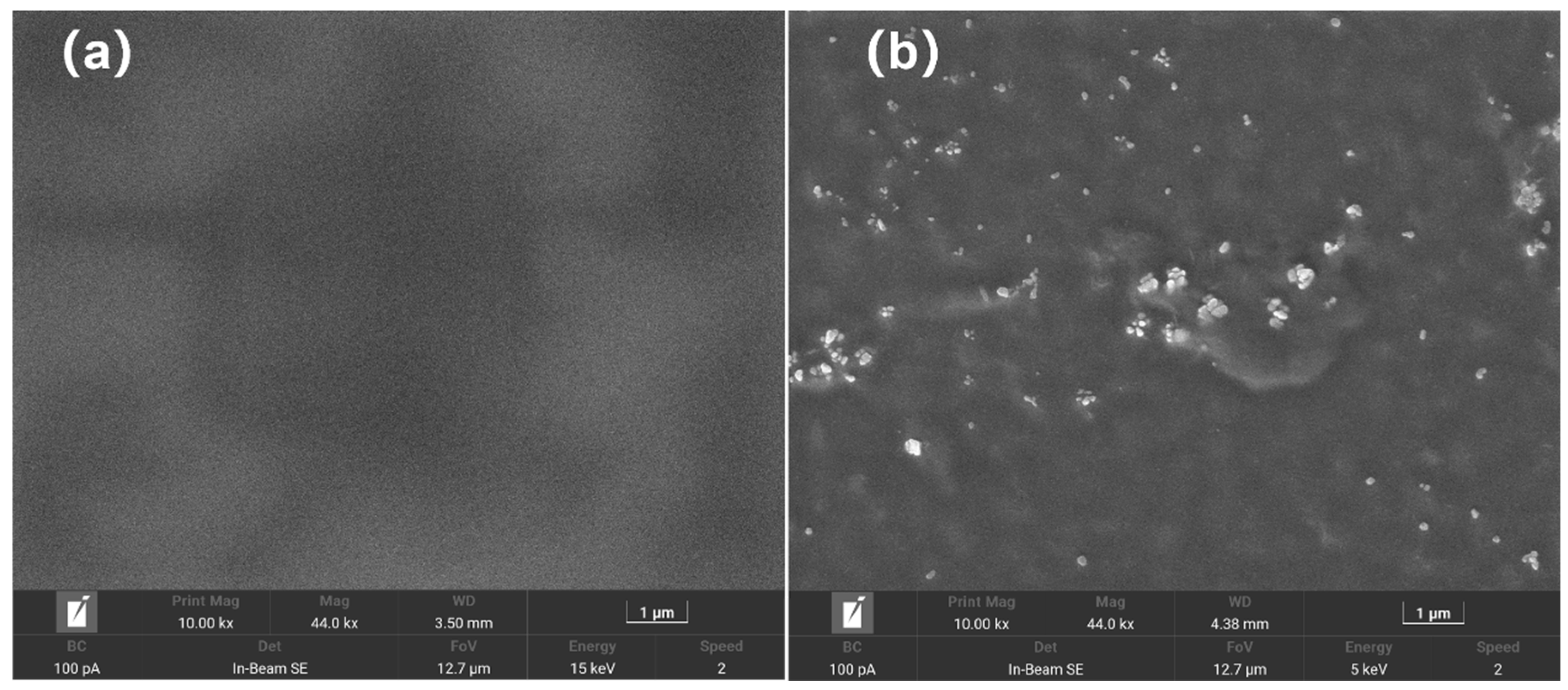 Molecules 28 02795 g008