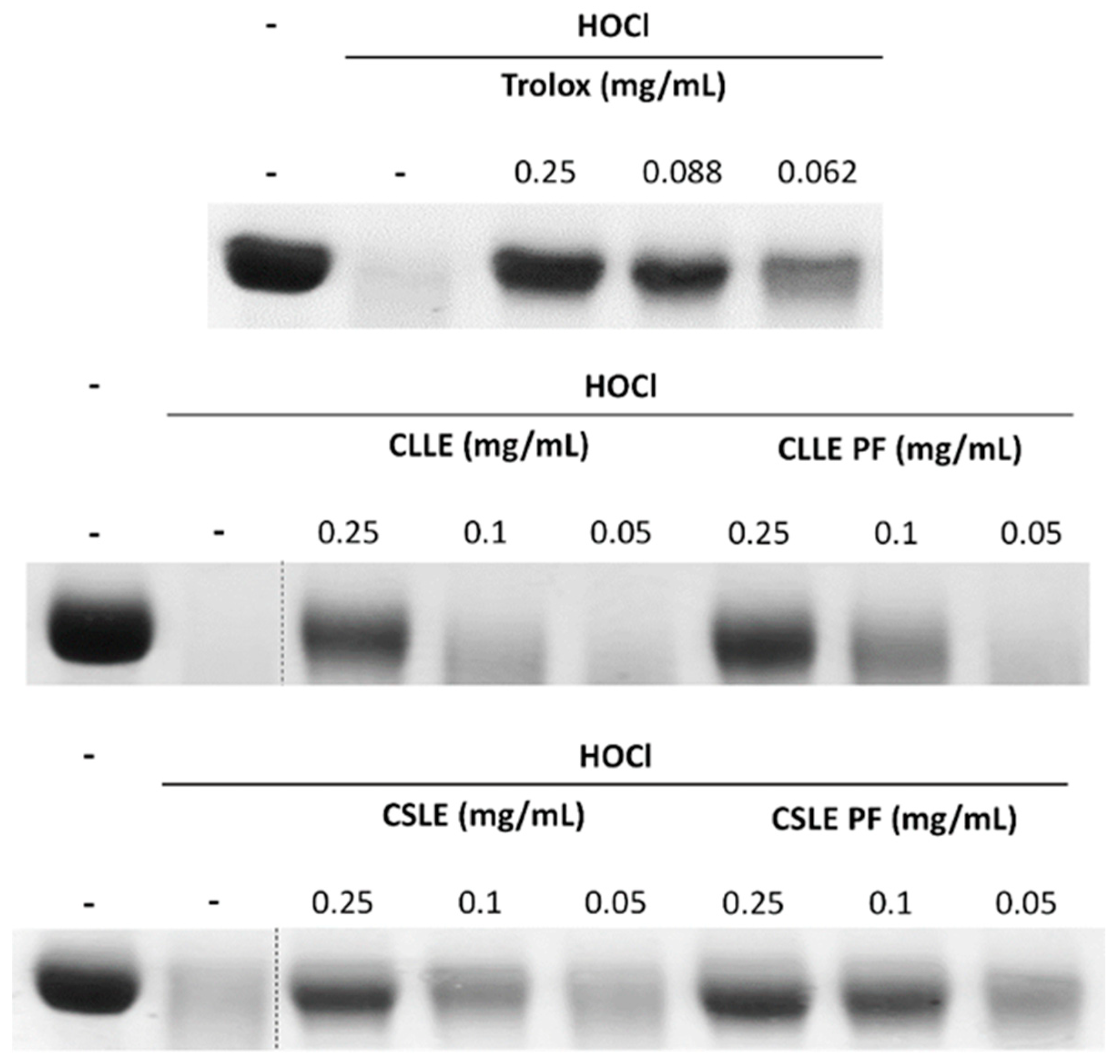 Molecules 28 02797 g001
