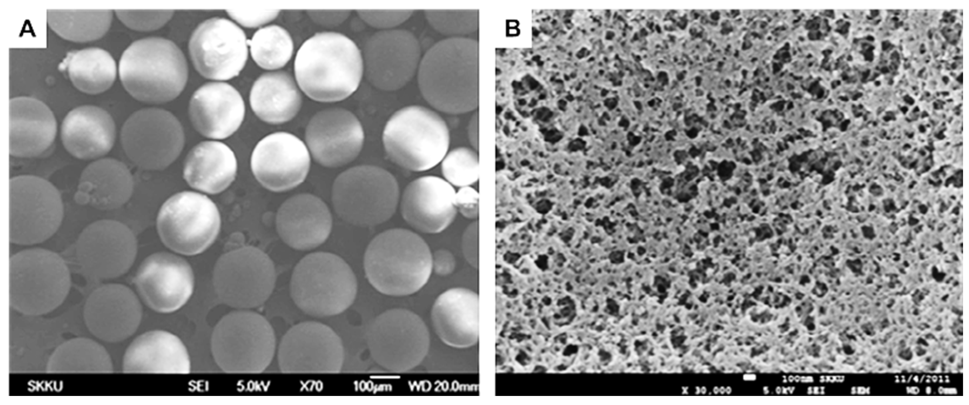 Molecules 28 02798 g009 Molecules 28 02798 g009