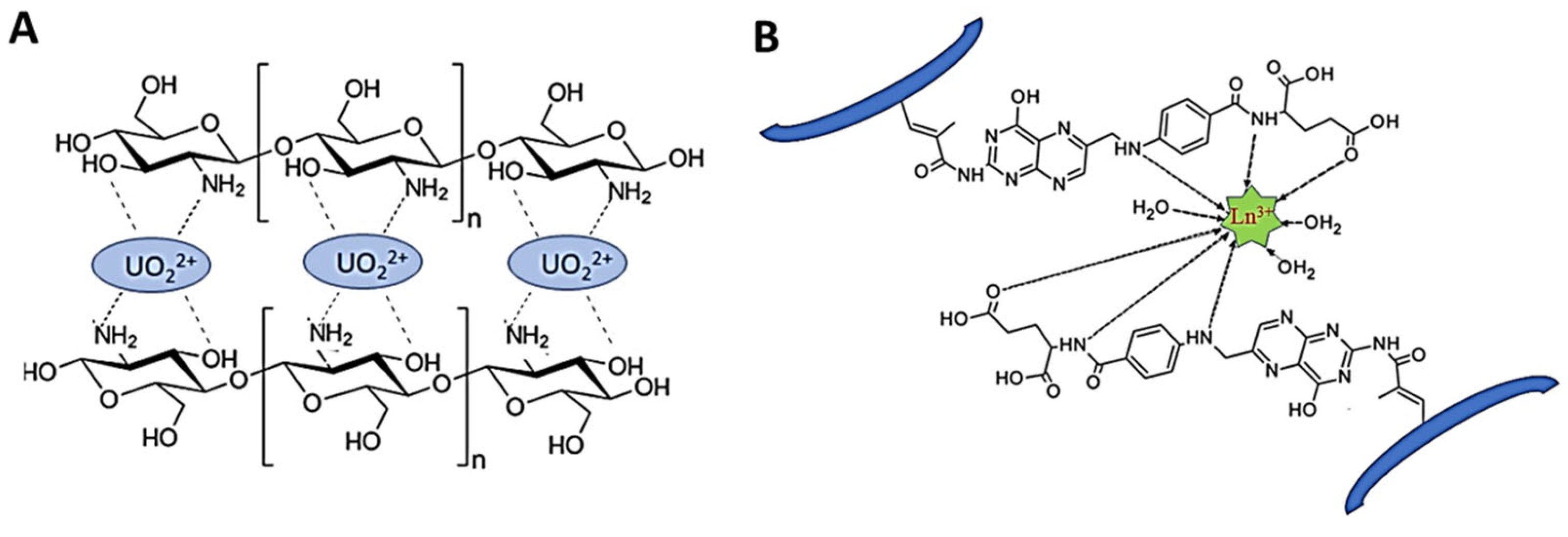 Molecules 28 02798 g019 Molecules 28 02798 g019