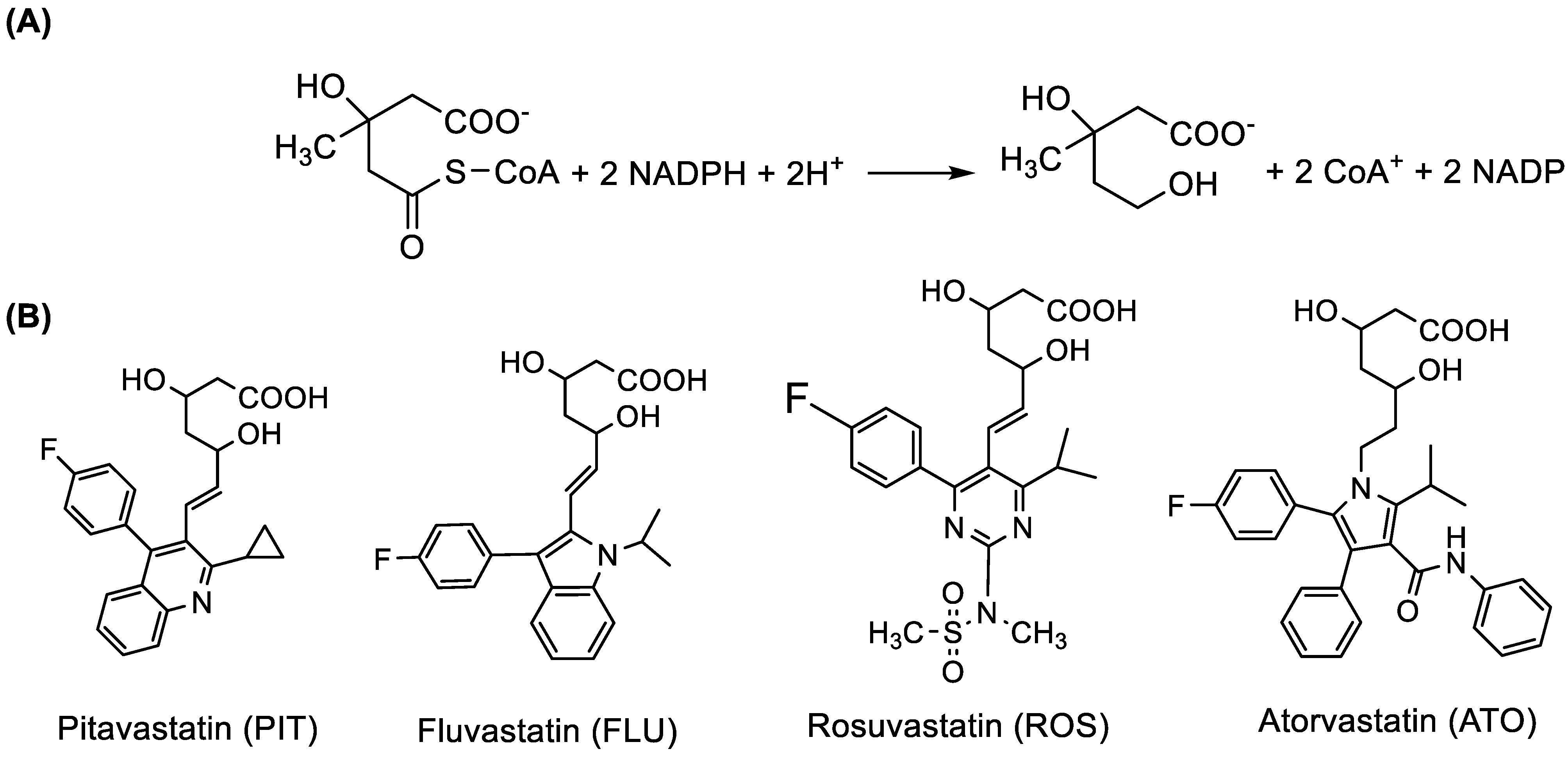 Molecules 28 02808 g001 Molecules 28 02808 g001