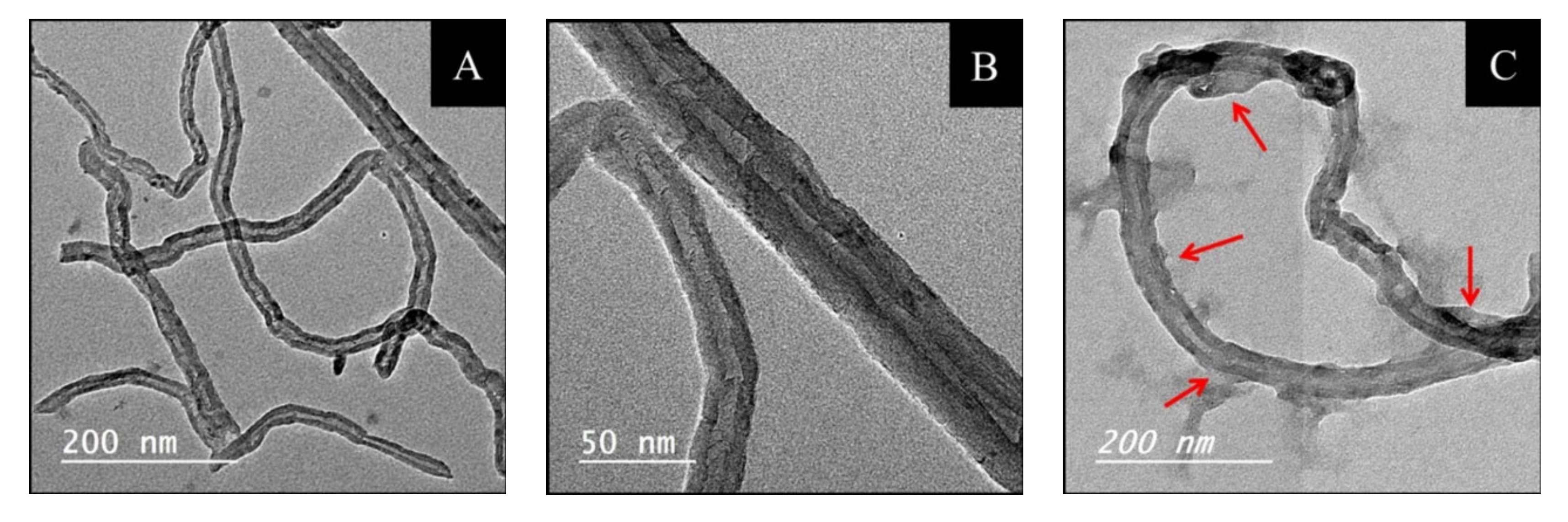 Molecules 28 02809 g001