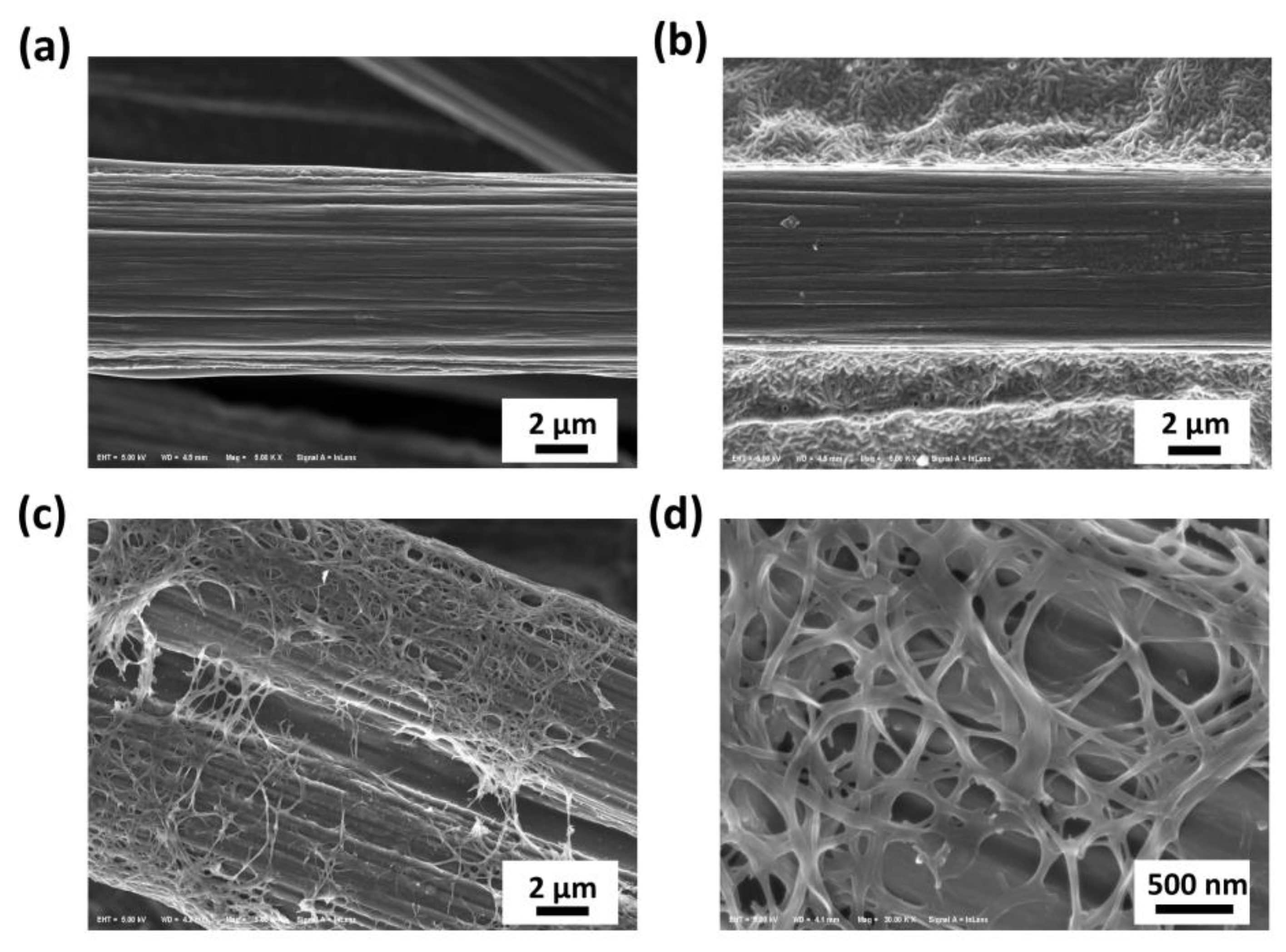 Molecules 28 02810 g001 Molecules 28 02810 g001