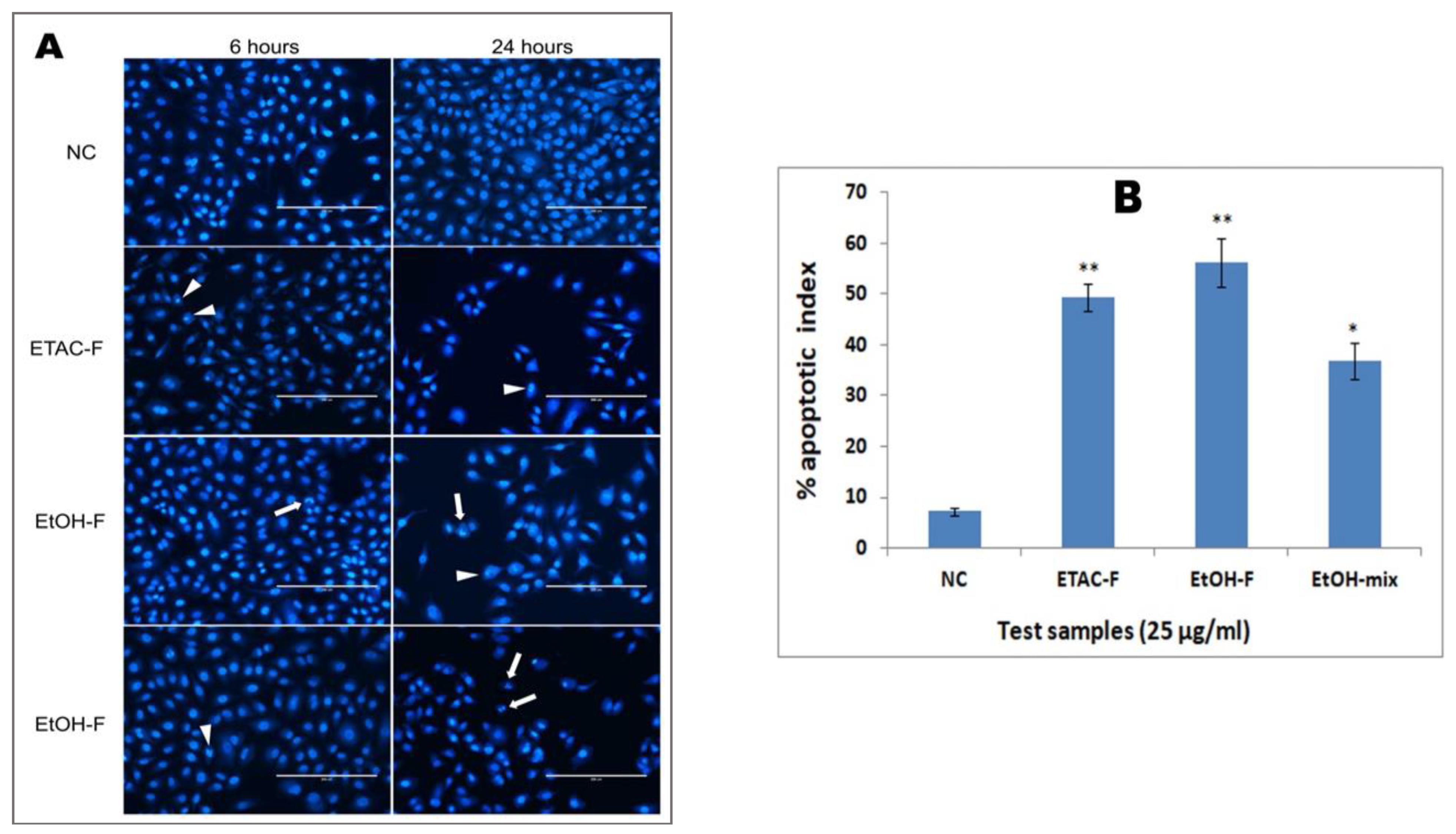 Molecules 28 02812 g005 Molecules 28 02812 g005