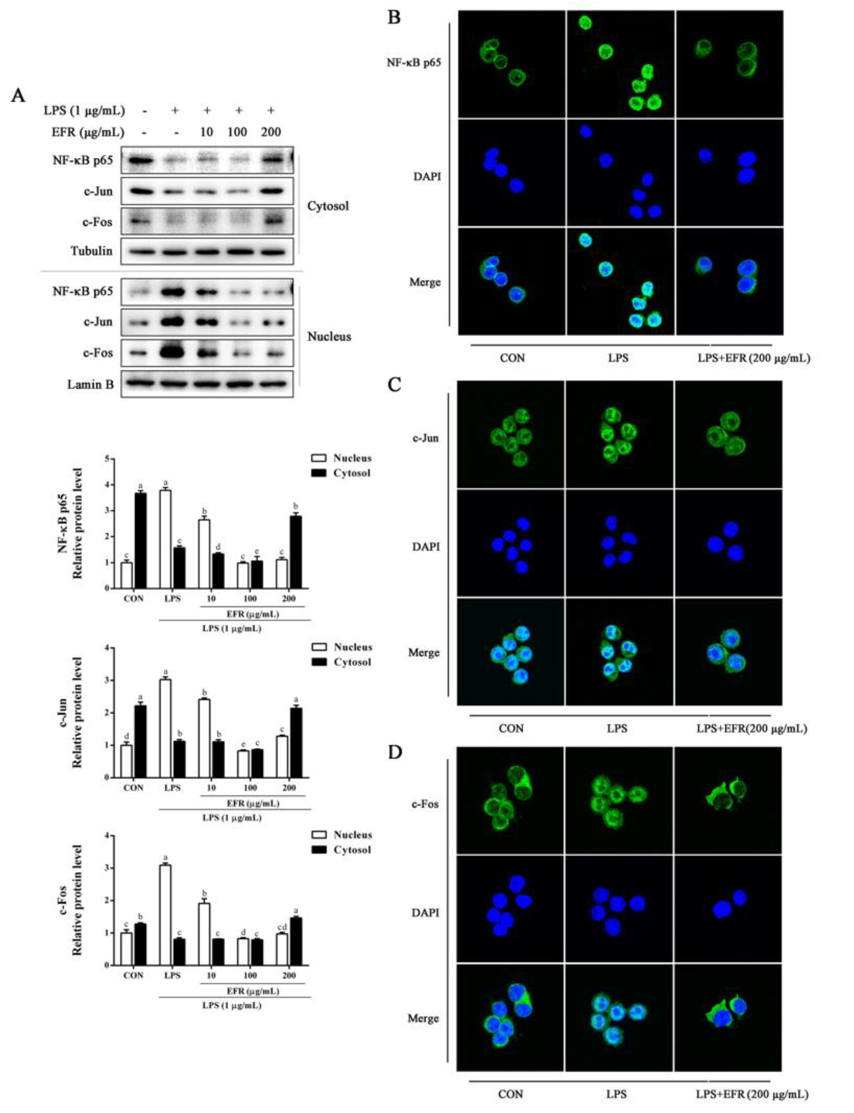 Molecules 28 02813 g003