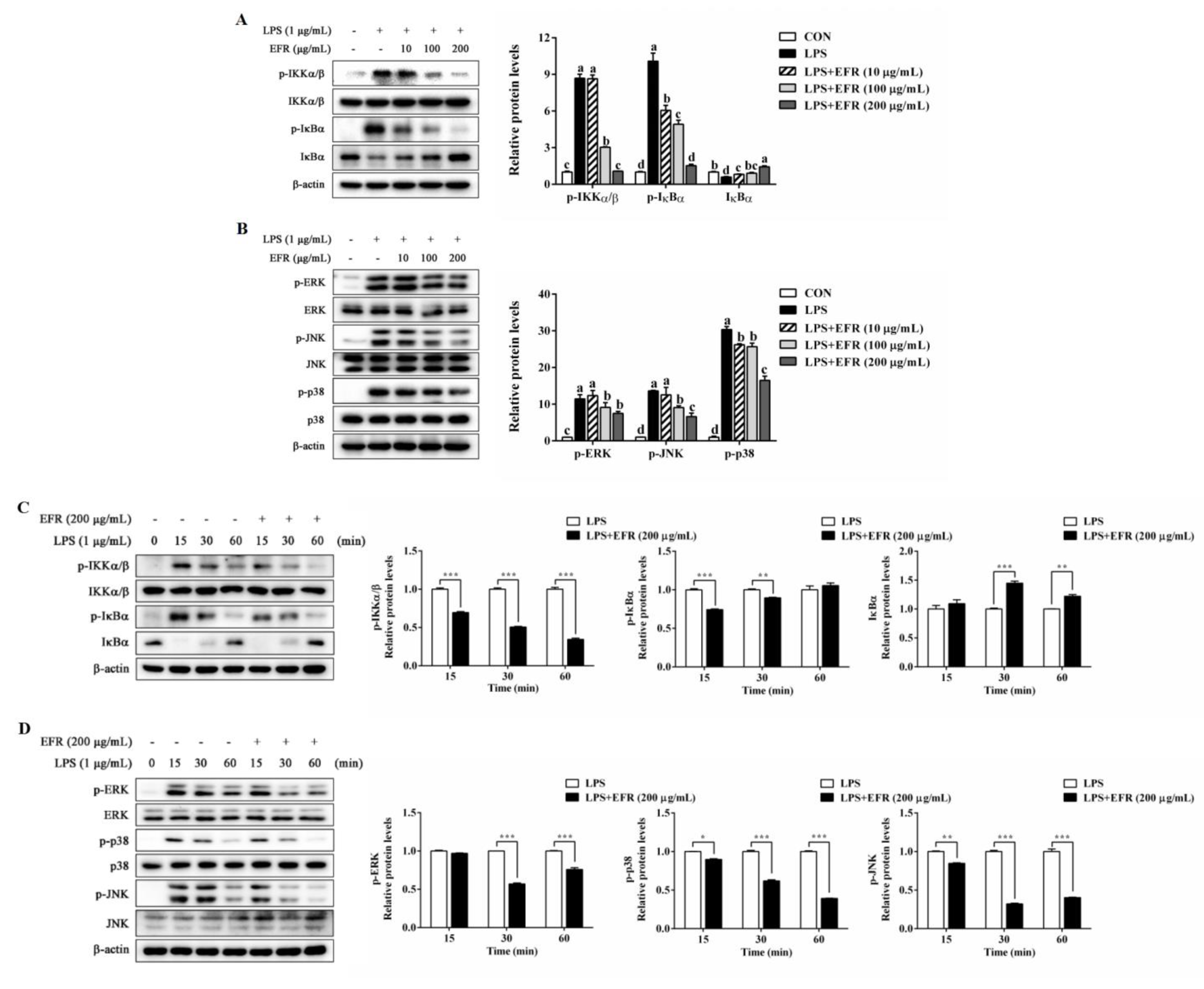 Molecules 28 02813 g004