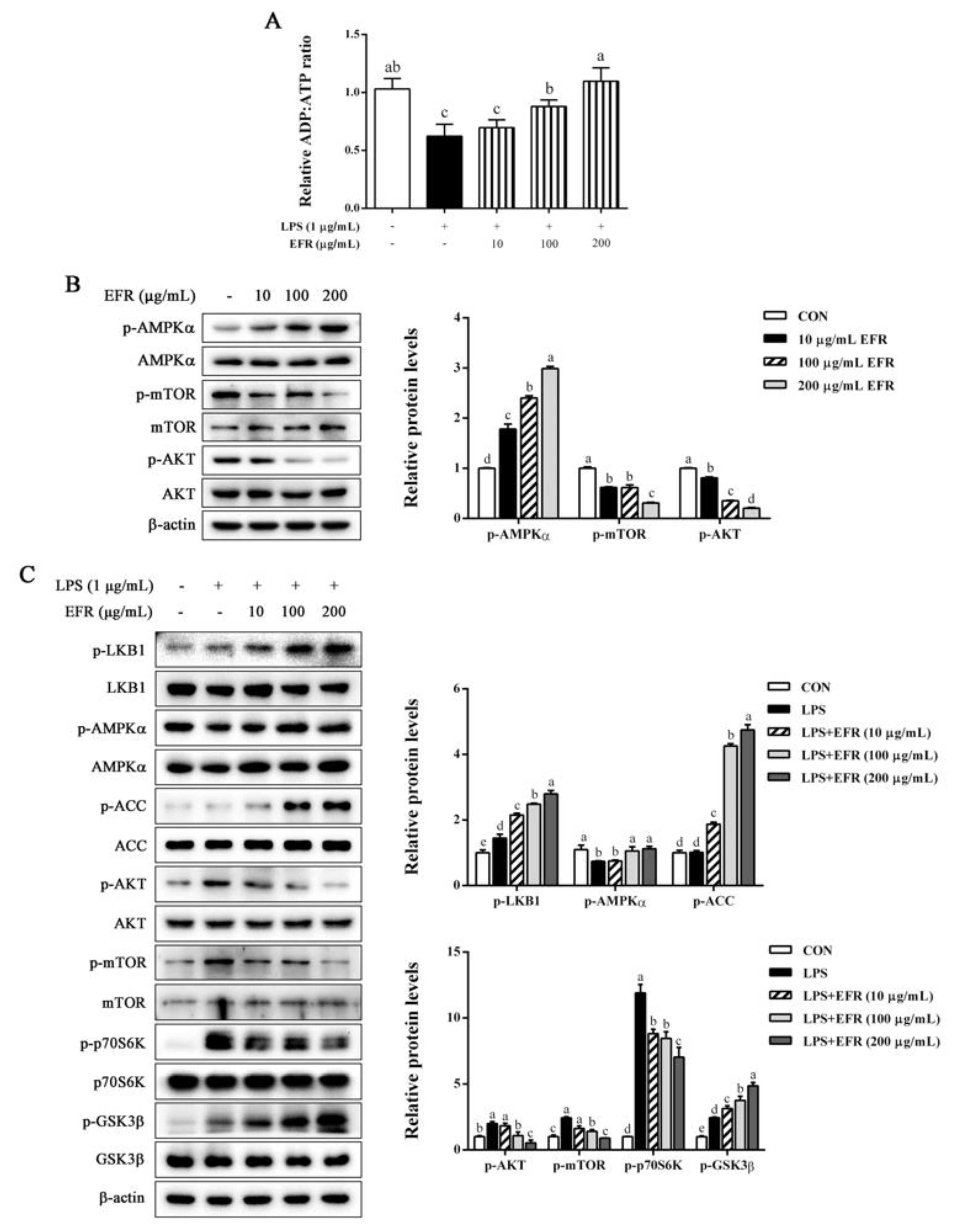 Molecules 28 02813 g005